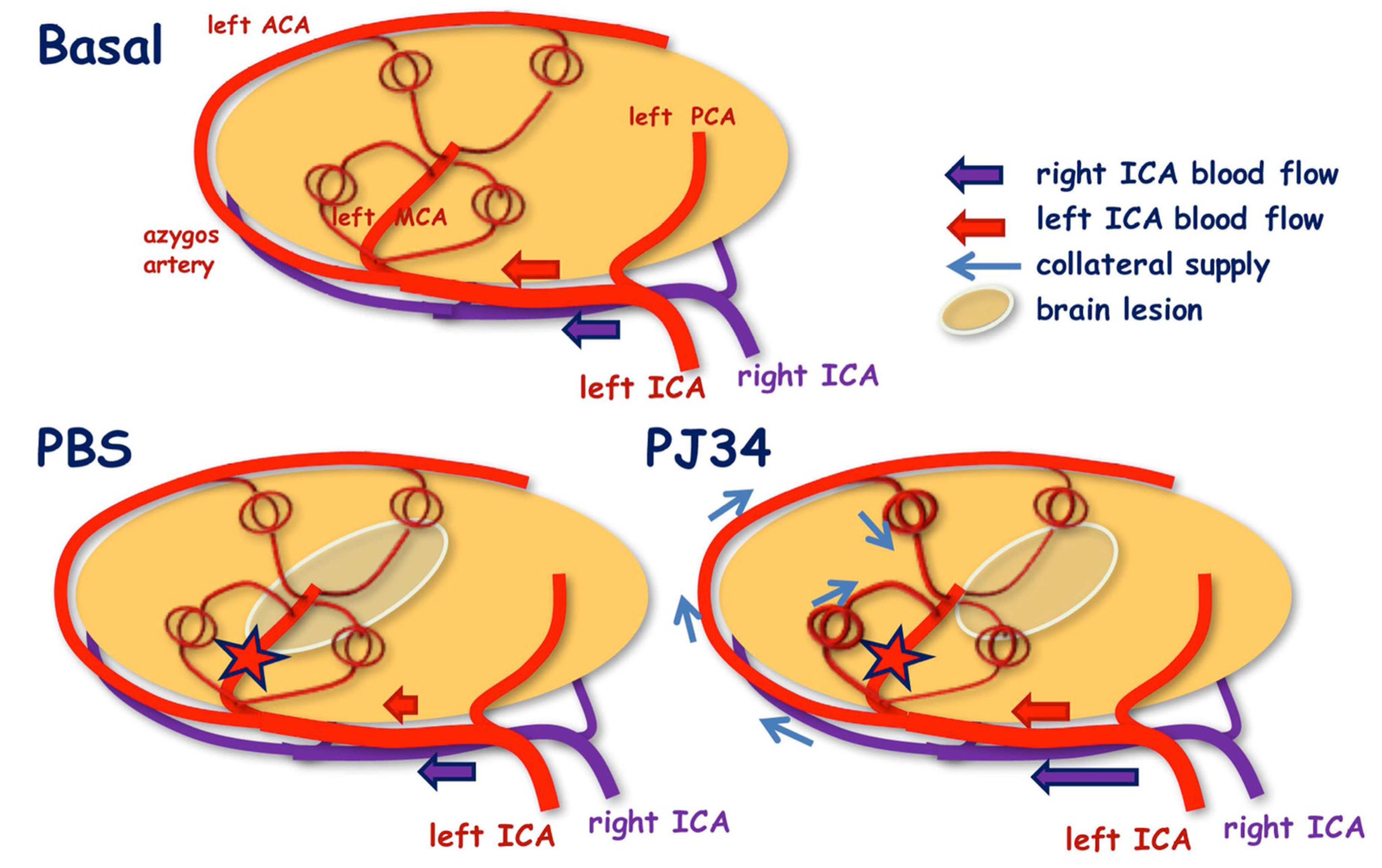 Cimb 43 00025 g006 Cimb 43 00025 g006