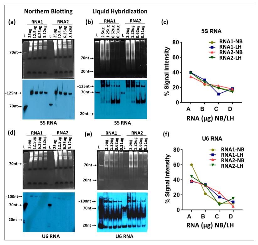 Cimb 43 00036 g005 550