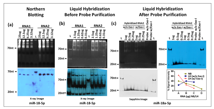 Cimb 43 00036 g008 550