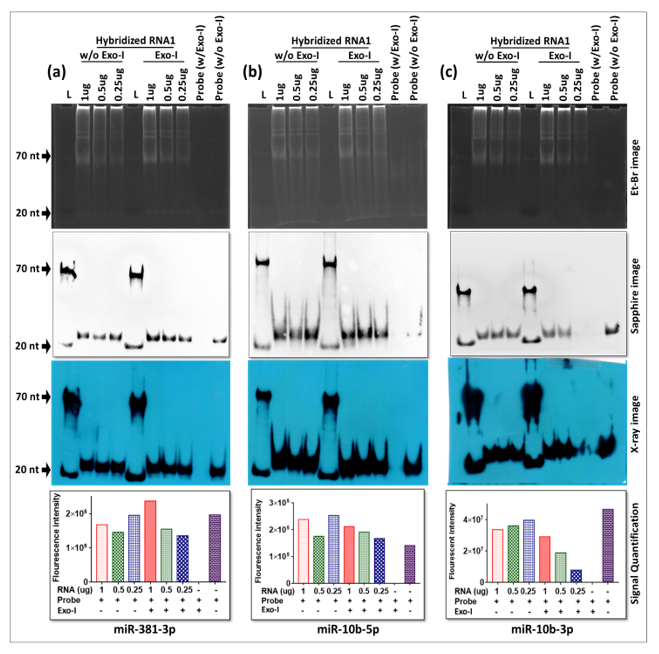 Cimb 43 00036 g009 550