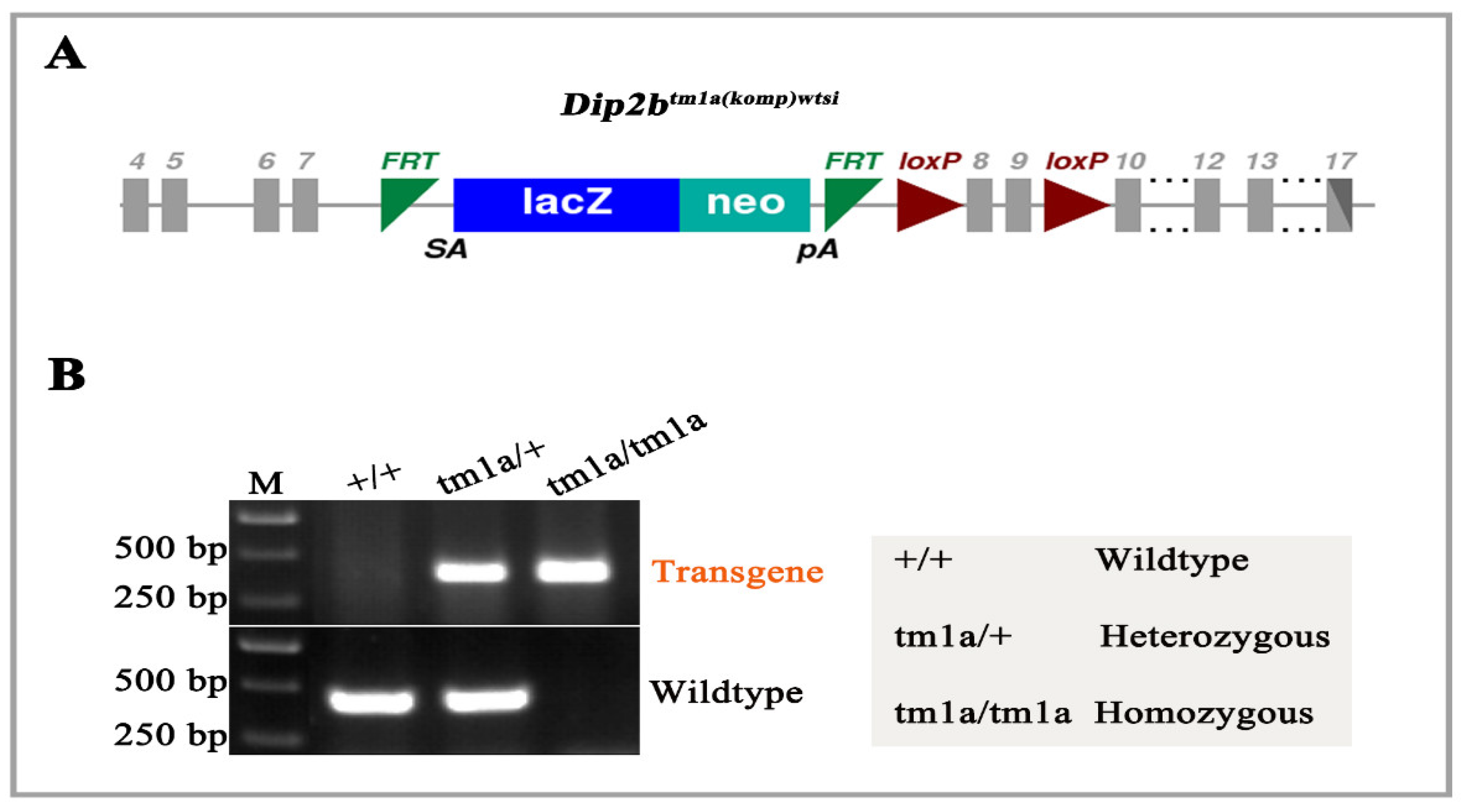 Cimb 43 00040 g001 550