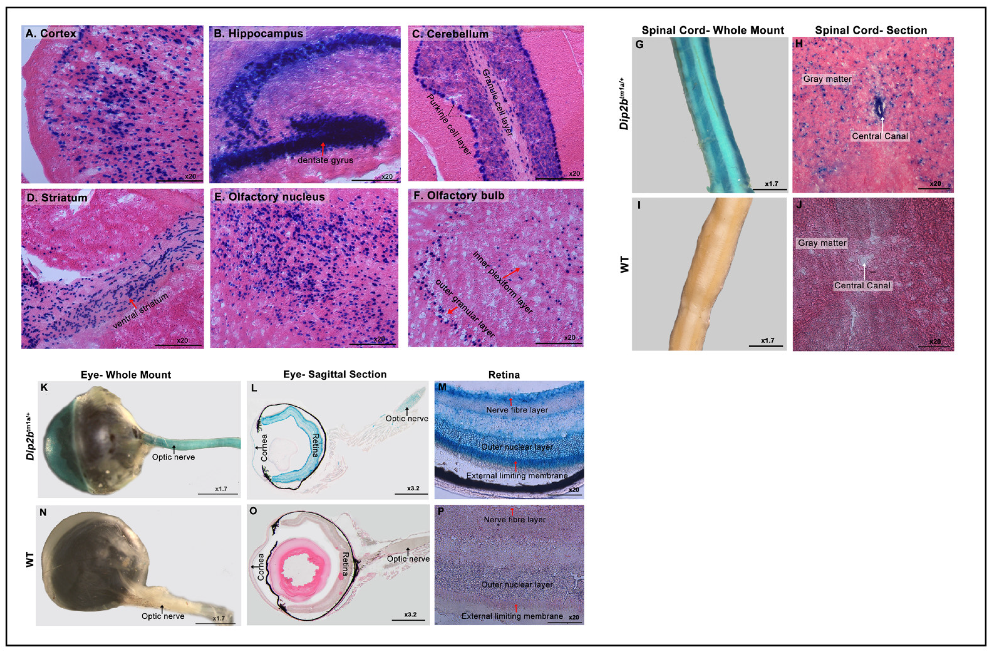Cimb 43 00040 g002 550