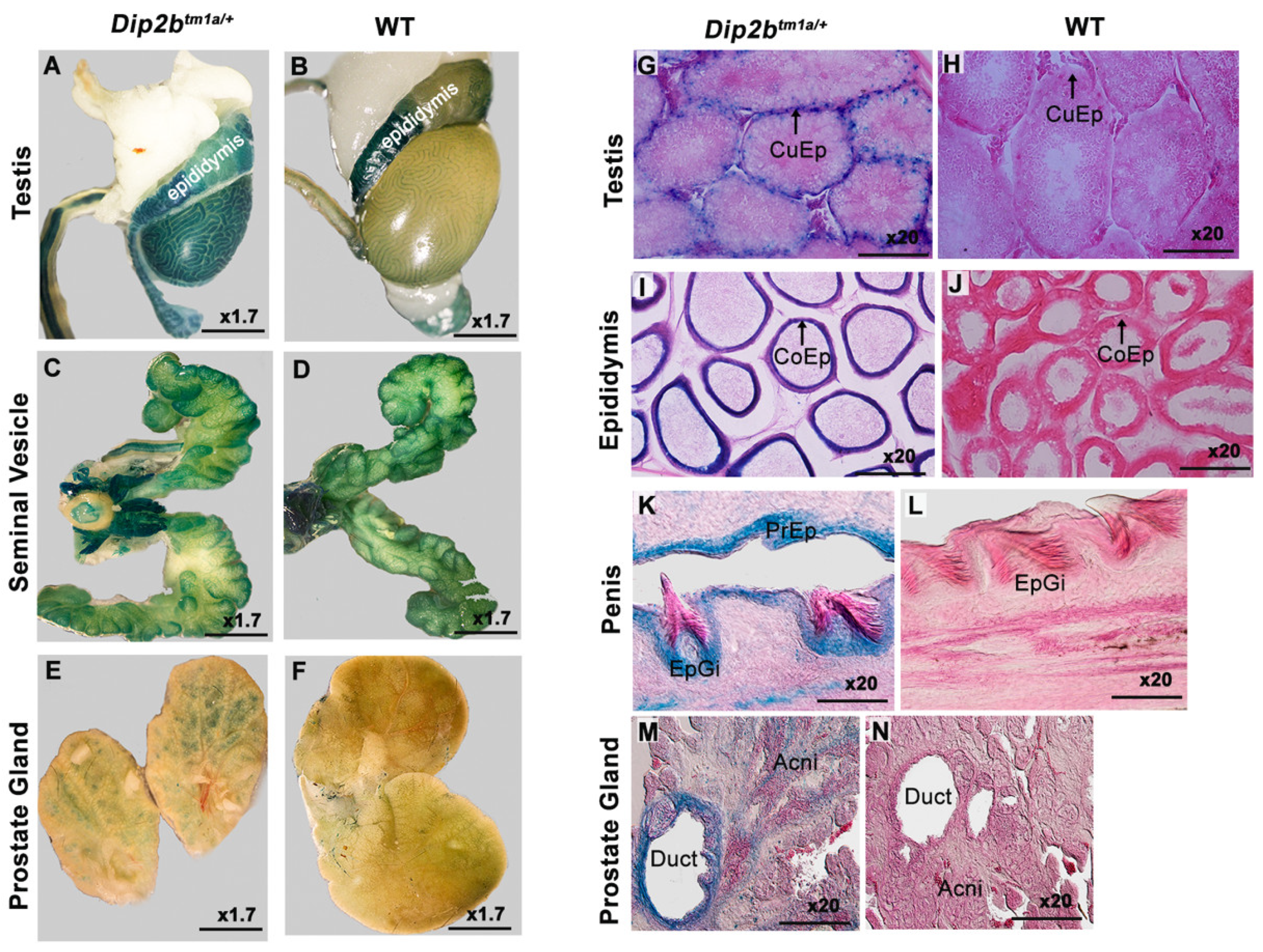 Cimb 43 00040 g003 550