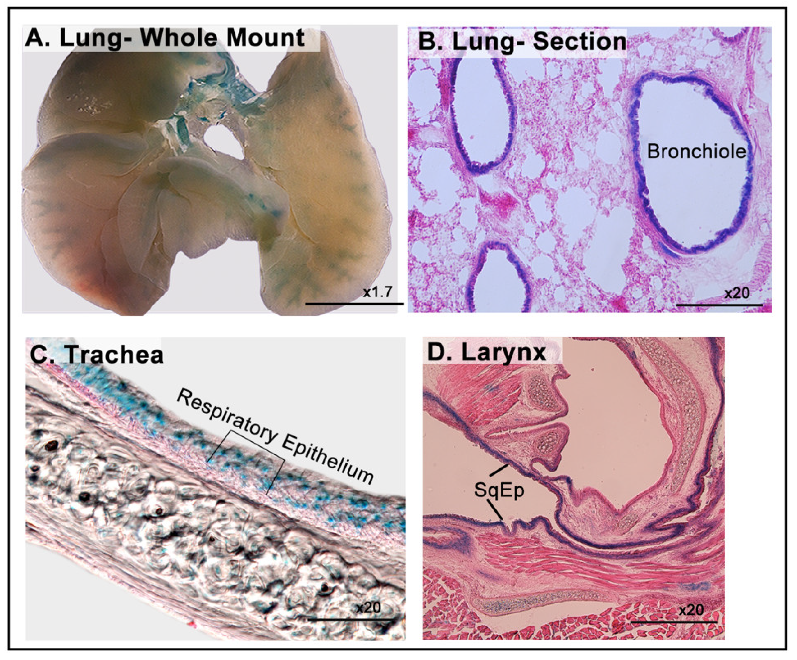 Cimb 43 00040 g006 550