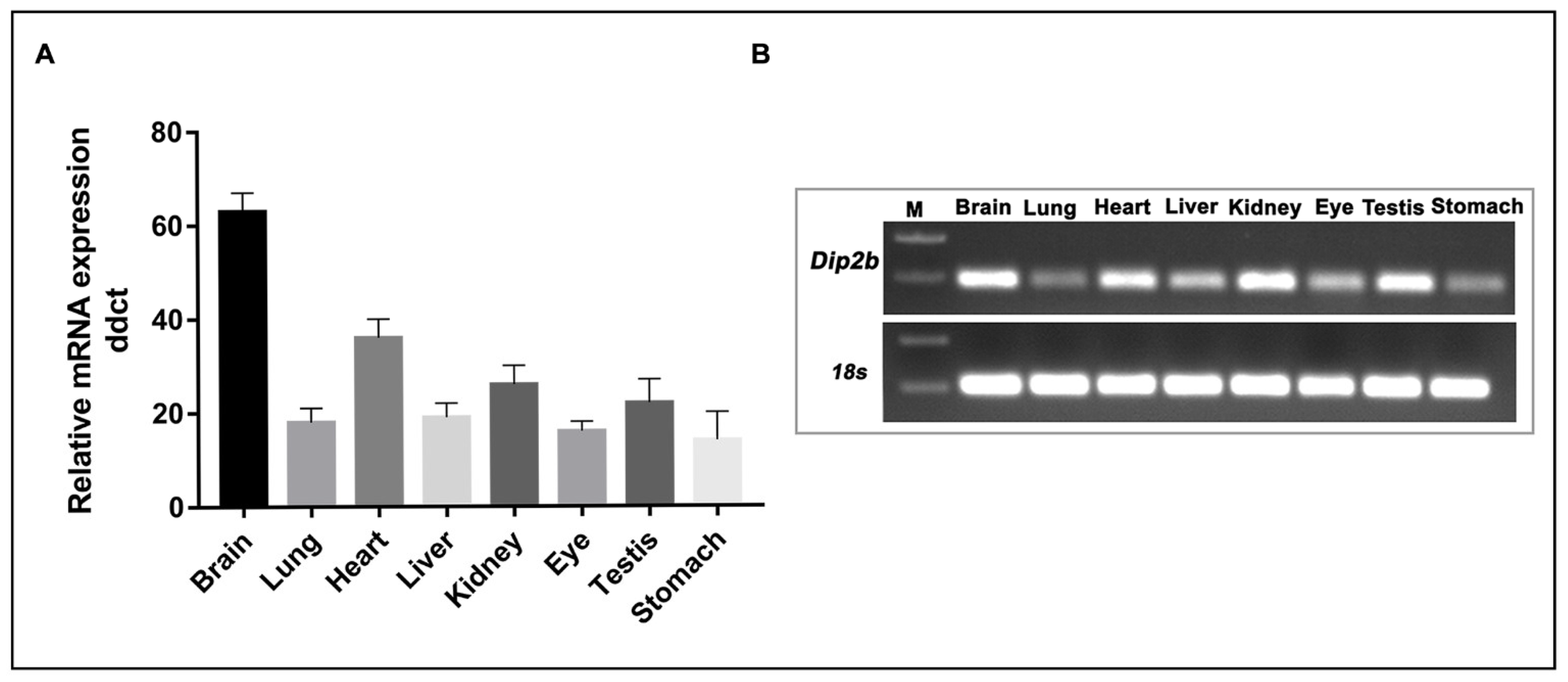 Cimb 43 00040 g009 550