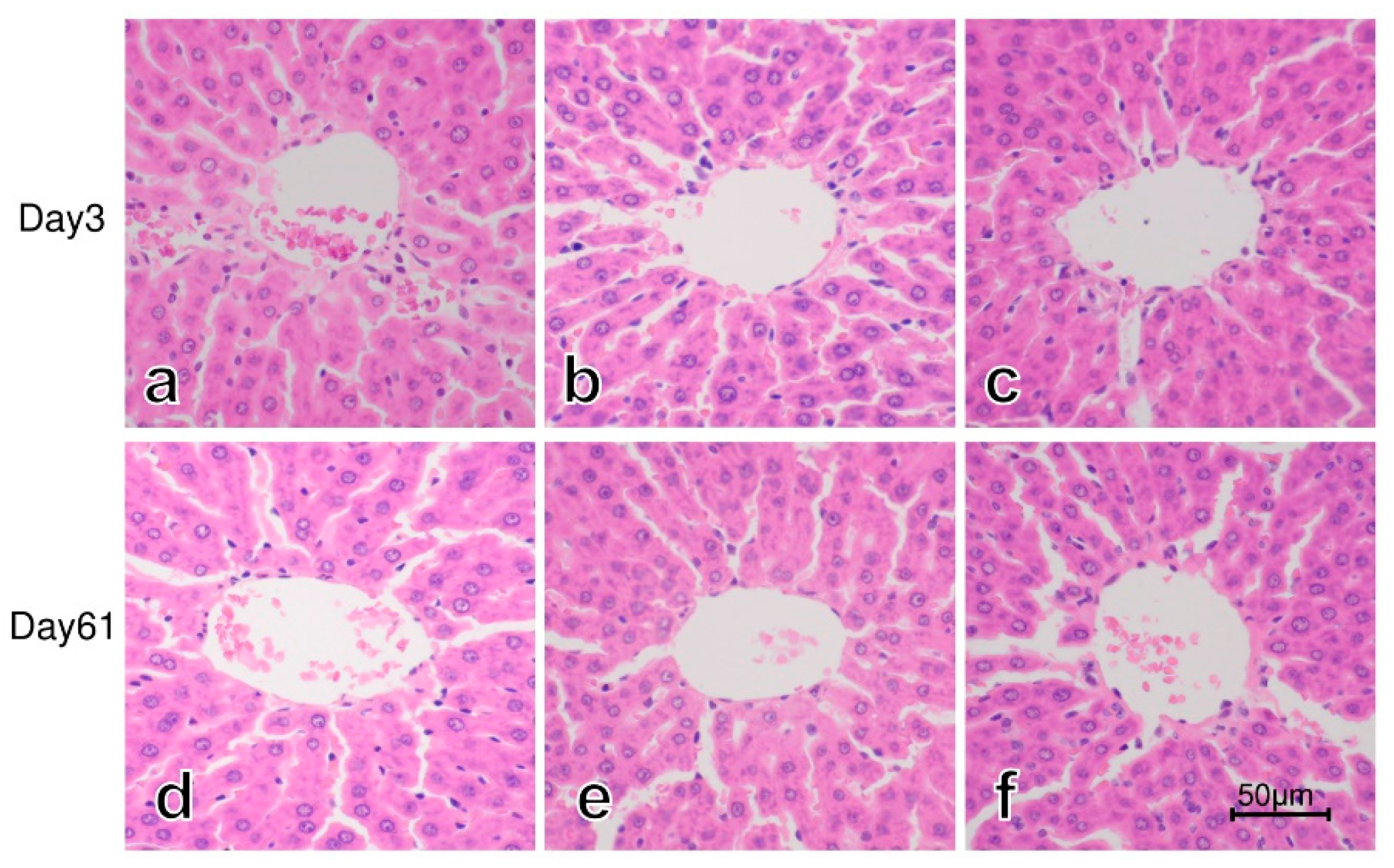 Cimb 43 00055 g001 Cimb 43 00055 g001