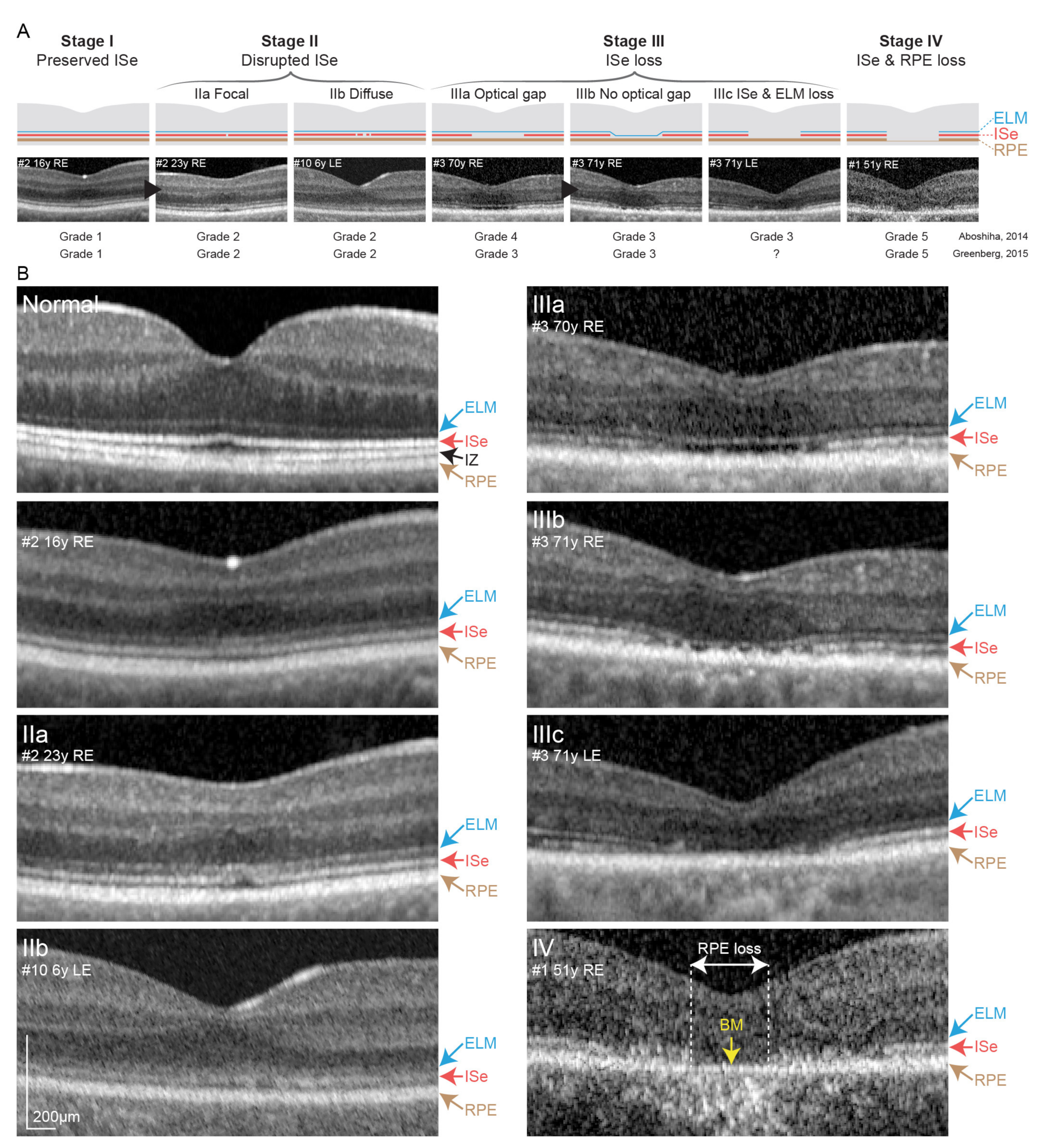 Cimb 43 00067 g004 Cimb 43 00067 g004