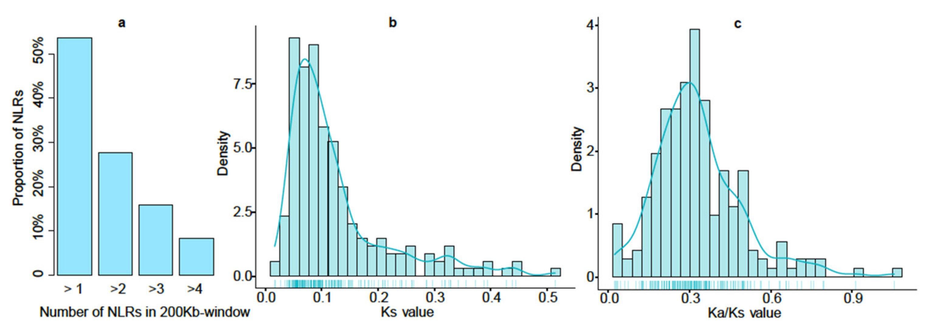 Cimb Free Full Text Dynamic Diversity Of Nlr Genes In Triticum And Mining Of Promising Nlr Alleles For Disease Resistance Html Cimb Free Full Text Dynamic Diversity Of Nlr Genes In Triticum And Mining Of Promising Nlr Alleles For Disease Resistance Html
