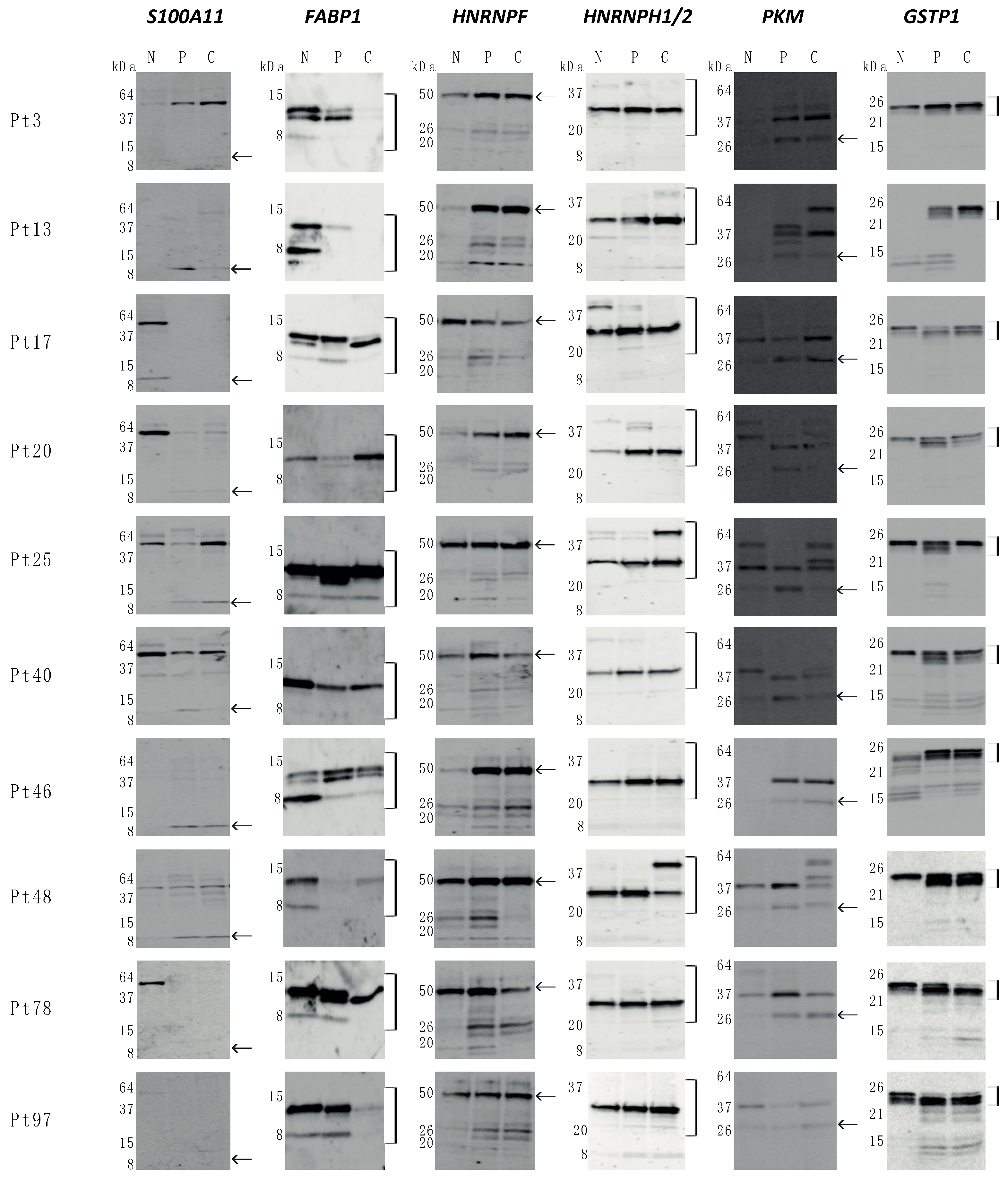 Cimb 43 00074 g002 Cimb 43 00074 g002