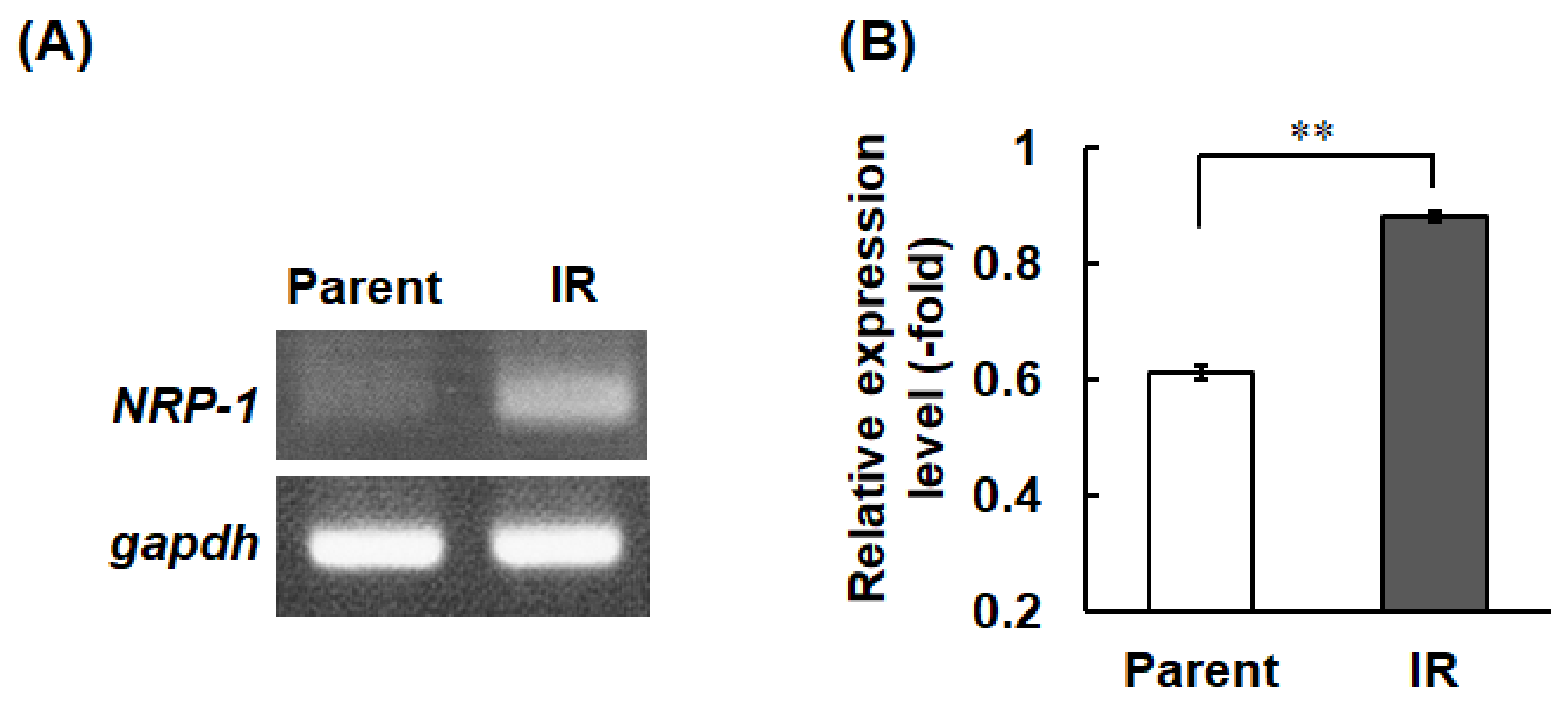 Cimb 43 00085 g001 Cimb 43 00085 g001