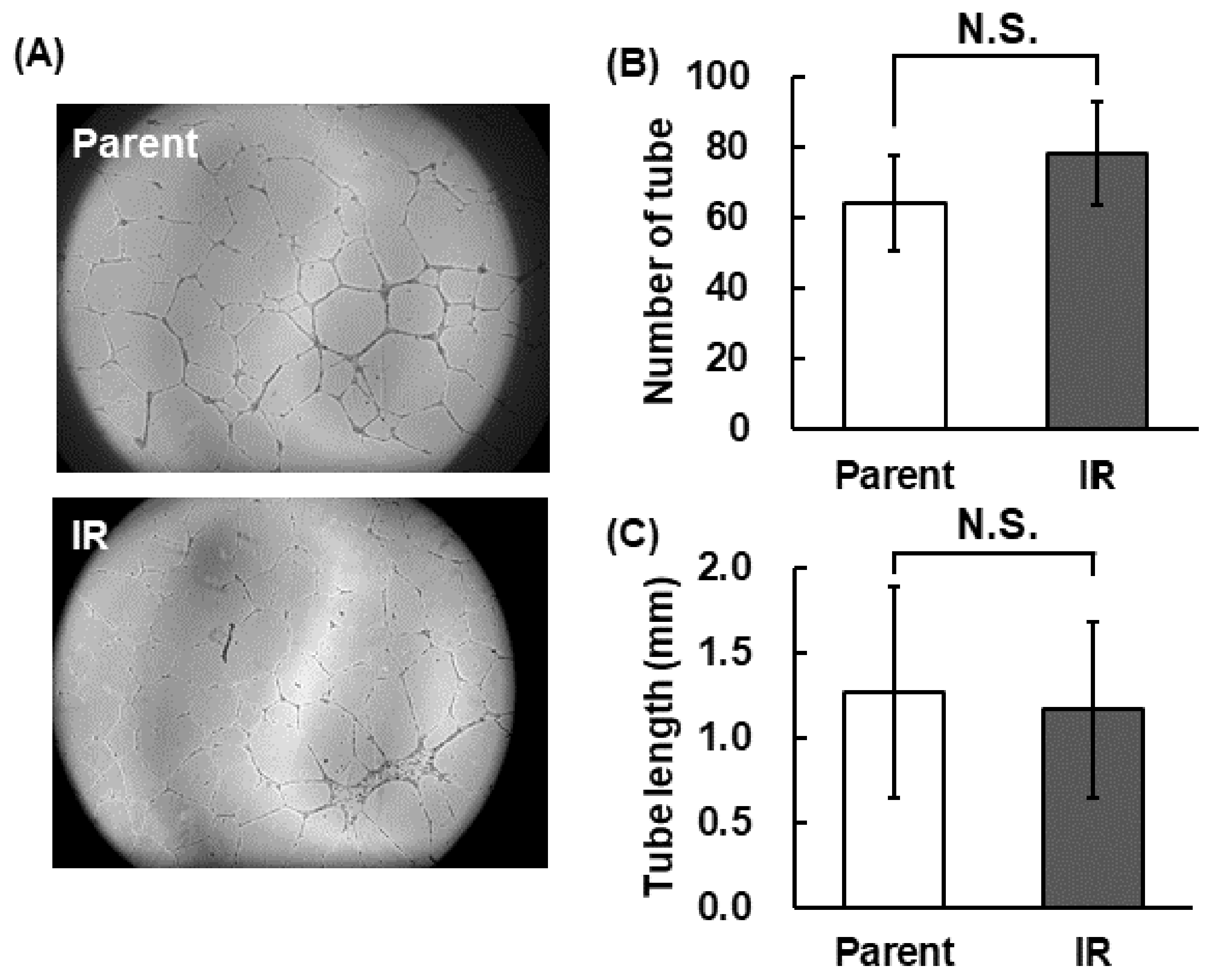 Cimb 43 00085 g002 Cimb 43 00085 g002