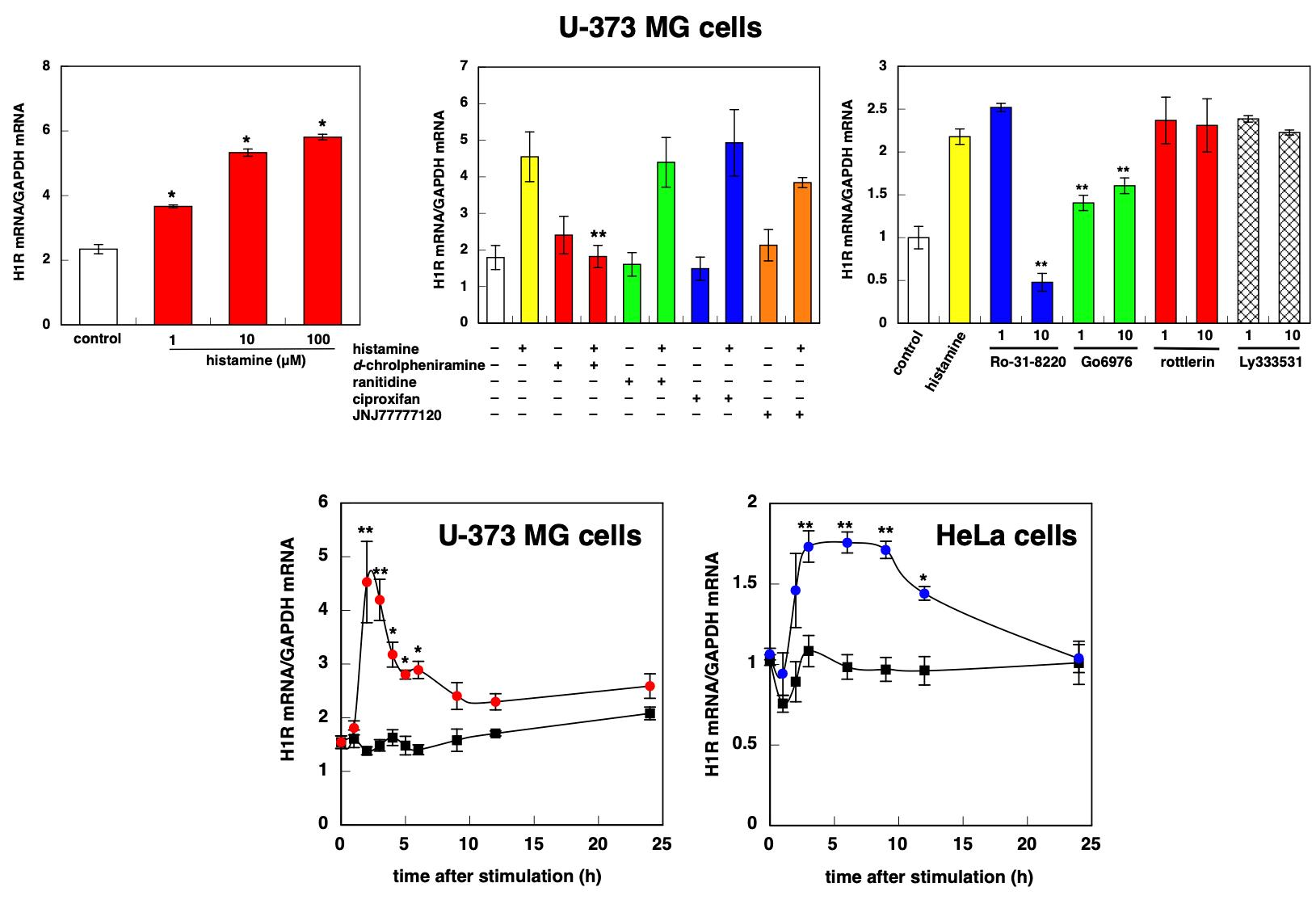 CIMB Free FullText Signaling Pathway of Histamine H1 Receptor