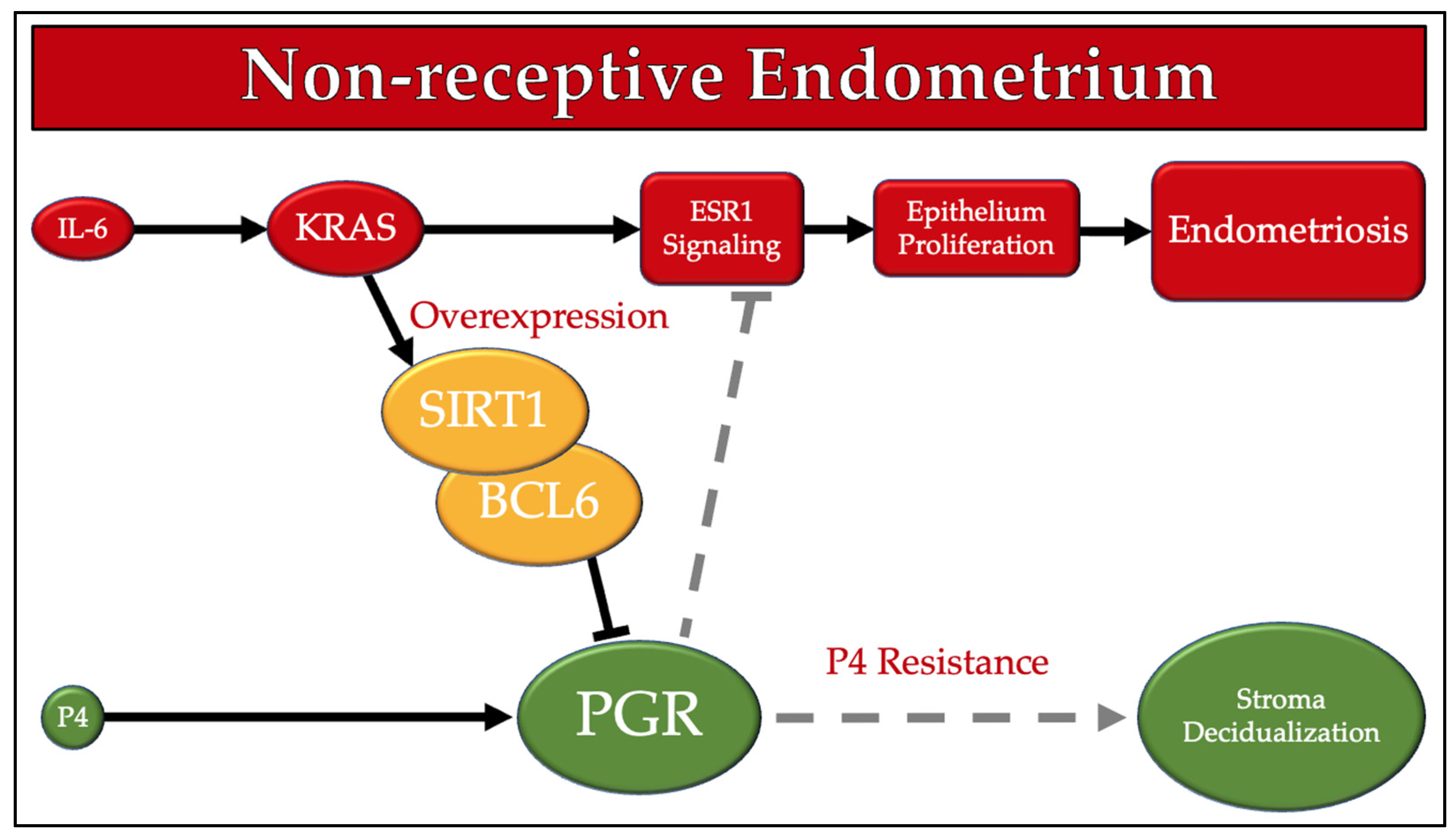 Cimb 43 00096 g002 Cimb 43 00096 g002
