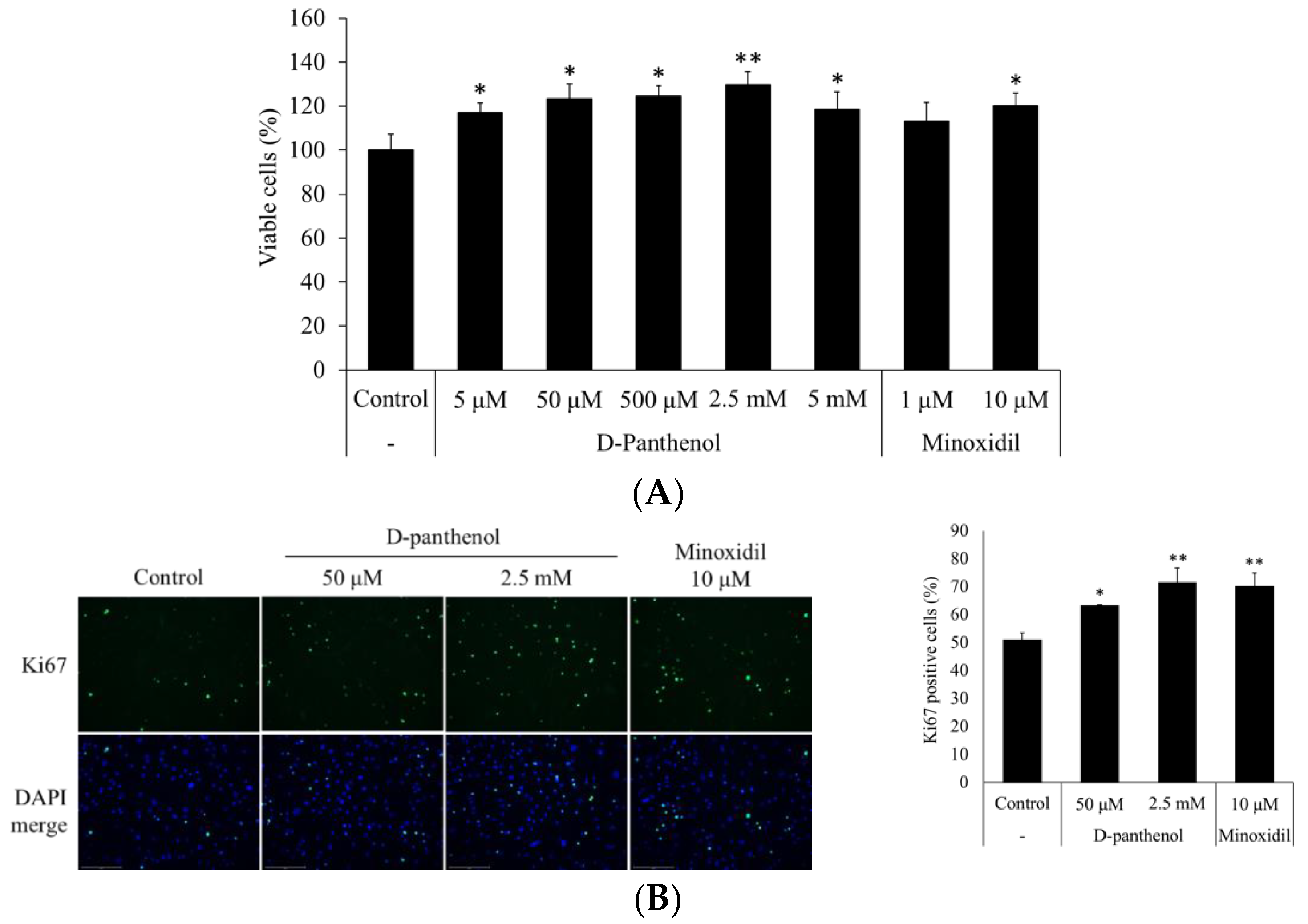 CIMB | Free Full-Text | Dexpanthenol Promotes Cell Growth by Preventing Cell Senescence and Apoptosis in Cultured Human Hair Follicle Cells CIMB | Free Full-Text | Dexpanthenol Promotes Cell Growth by Preventing Cell Senescence and Apoptosis in Cultured Human Hair Follicle Cells