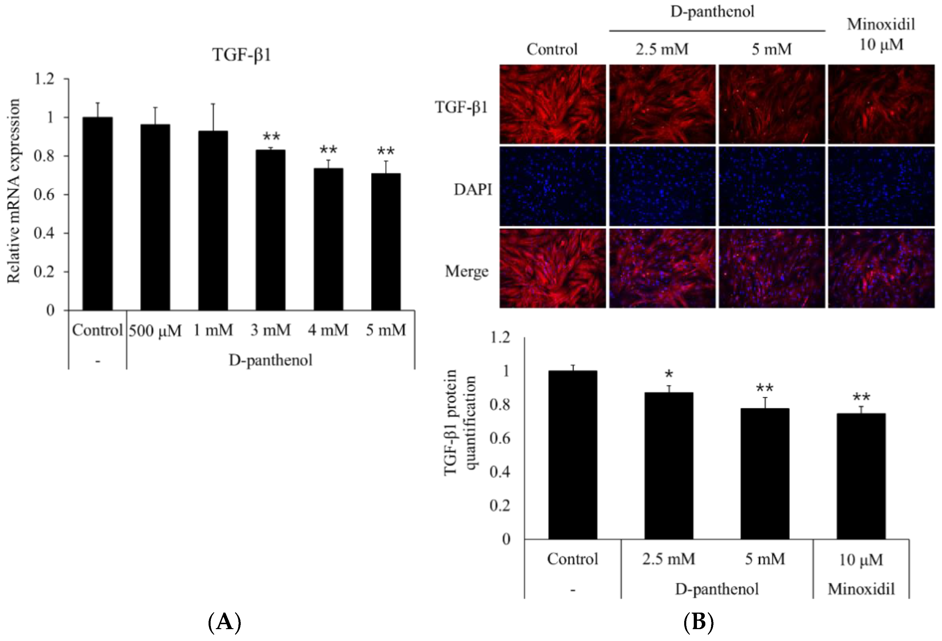 CIMB | Free Full-Text | Dexpanthenol Promotes Cell Growth by Preventing Cell Senescence and Apoptosis in Cultured Human Hair Follicle Cells CIMB | Free Full-Text | Dexpanthenol Promotes Cell Growth by Preventing Cell Senescence and Apoptosis in Cultured Human Hair Follicle Cells