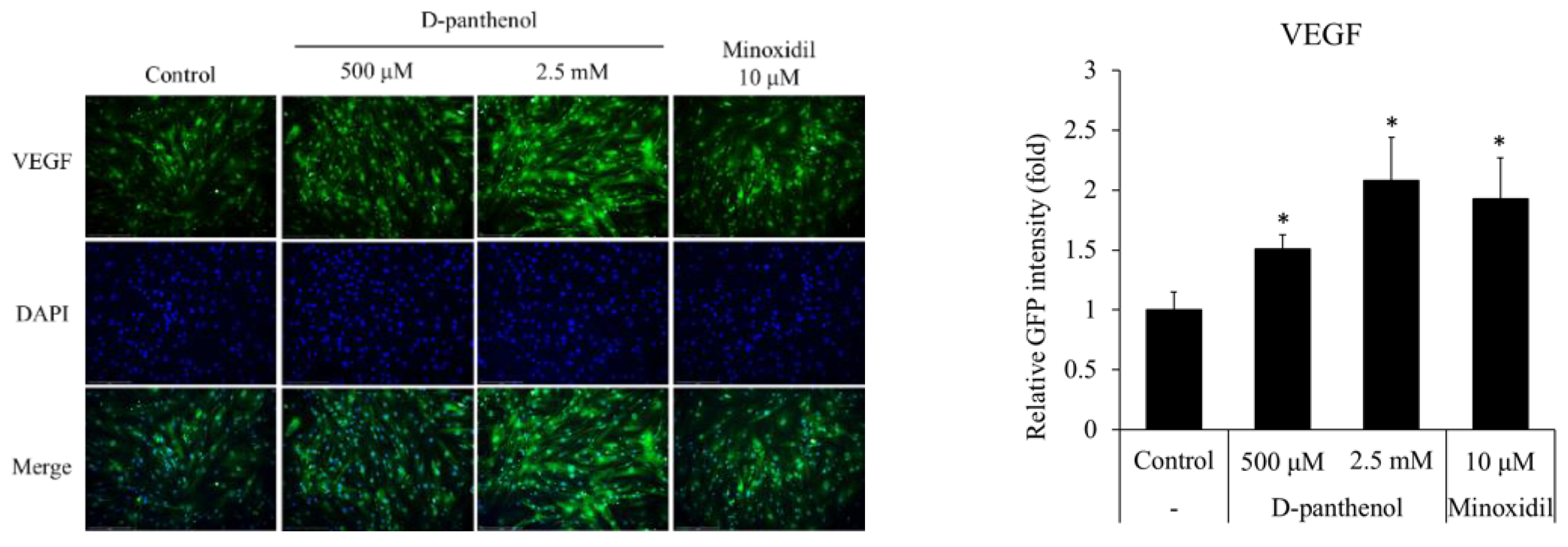 CIMB | Free Full-Text | Dexpanthenol Promotes Cell Growth by Preventing Cell Senescence and Apoptosis in Cultured Human Hair Follicle Cells CIMB | Free Full-Text | Dexpanthenol Promotes Cell Growth by Preventing Cell Senescence and Apoptosis in Cultured Human Hair Follicle Cells