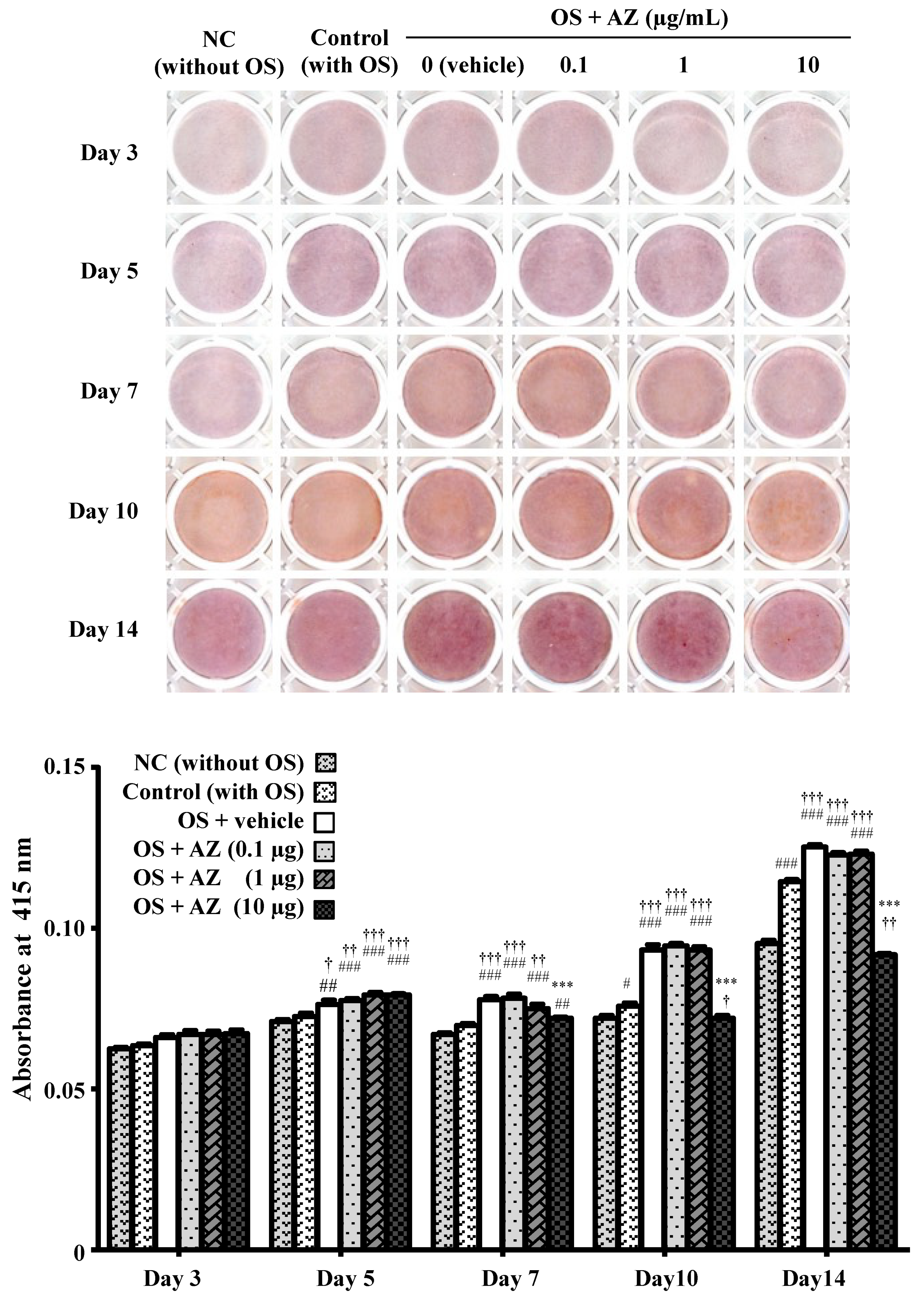 Cimb 43 00102 g003 550