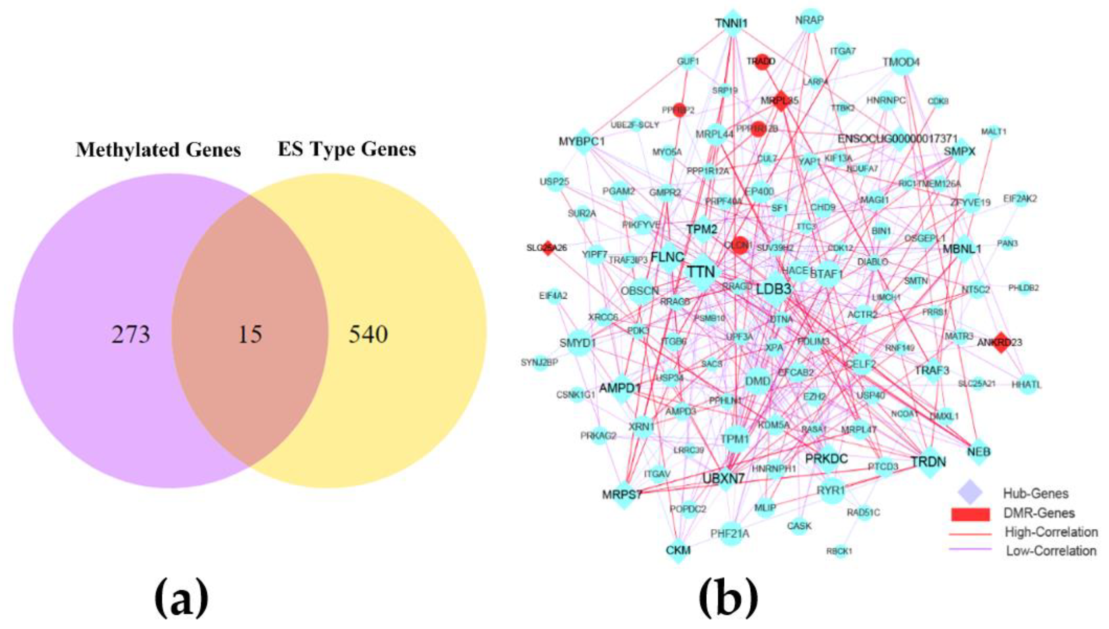 Cimb 43 00110 g004 Cimb 43 00110 g004