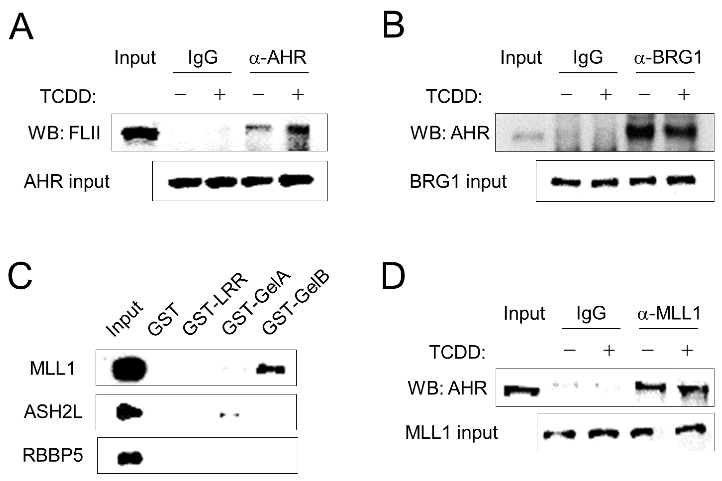 Cimb 43 00115 g002 Cimb 43 00115 g002
