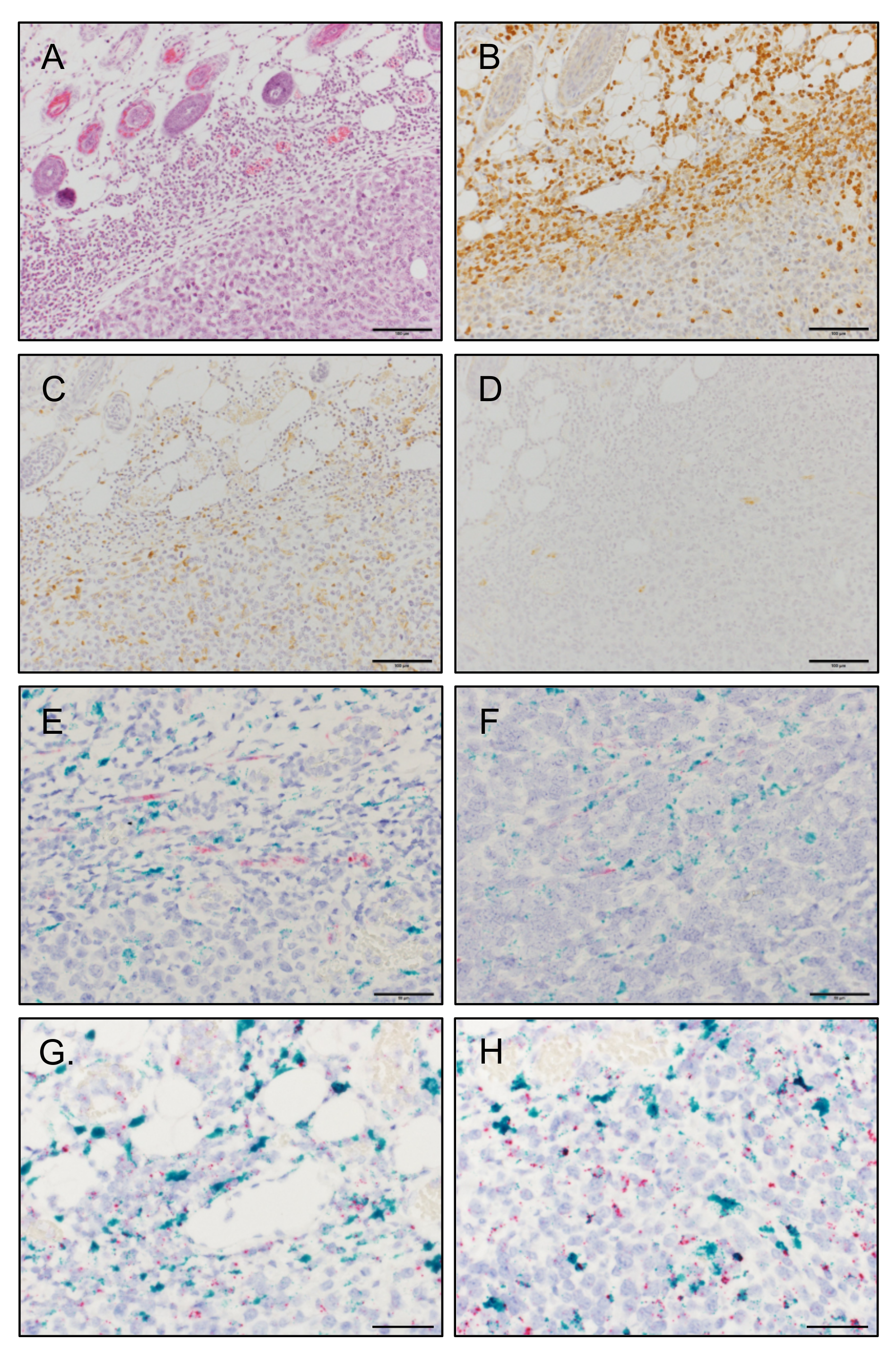 Cimb 43 00122 g005 550