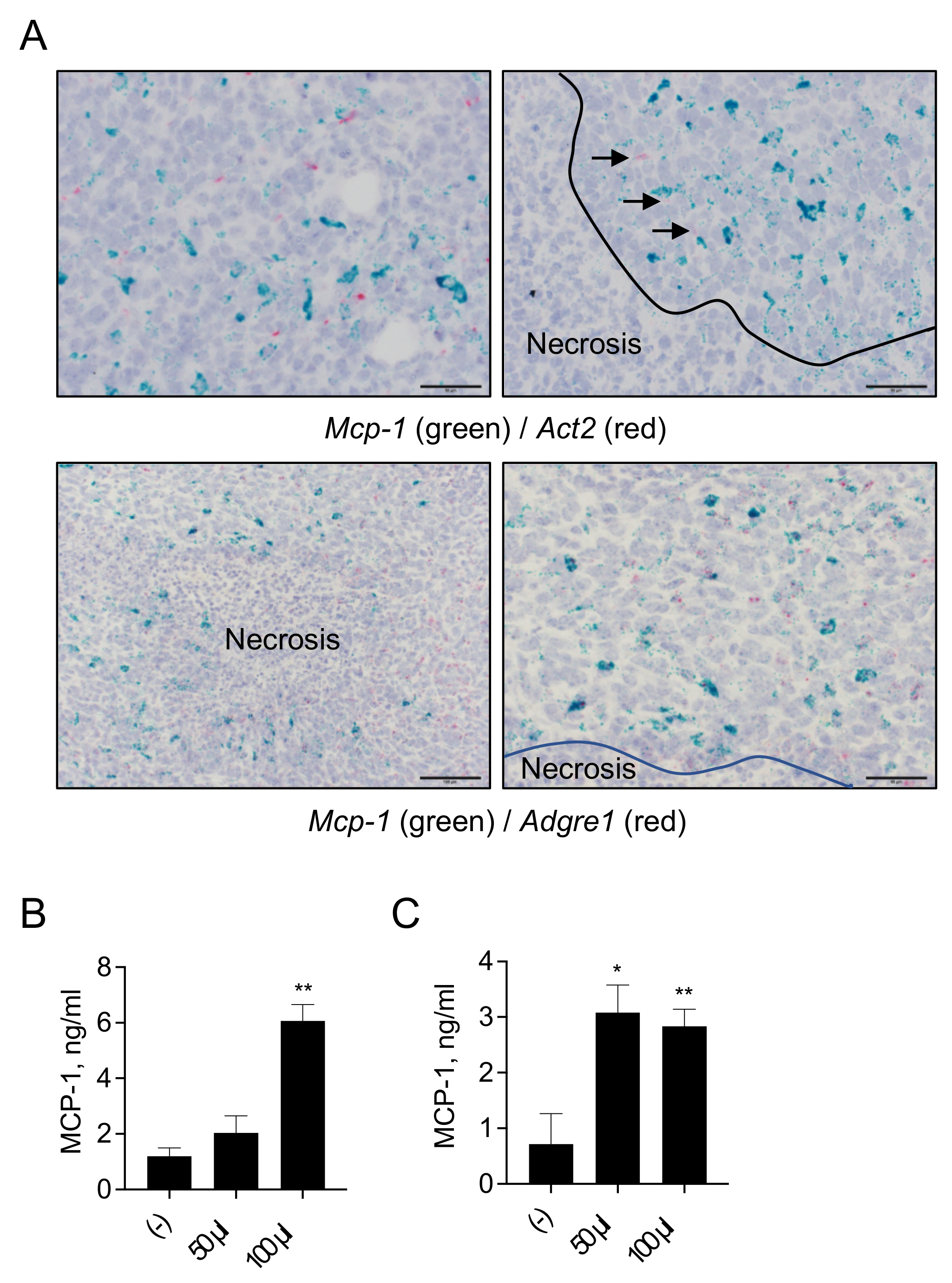 Cimb 43 00122 g006 550