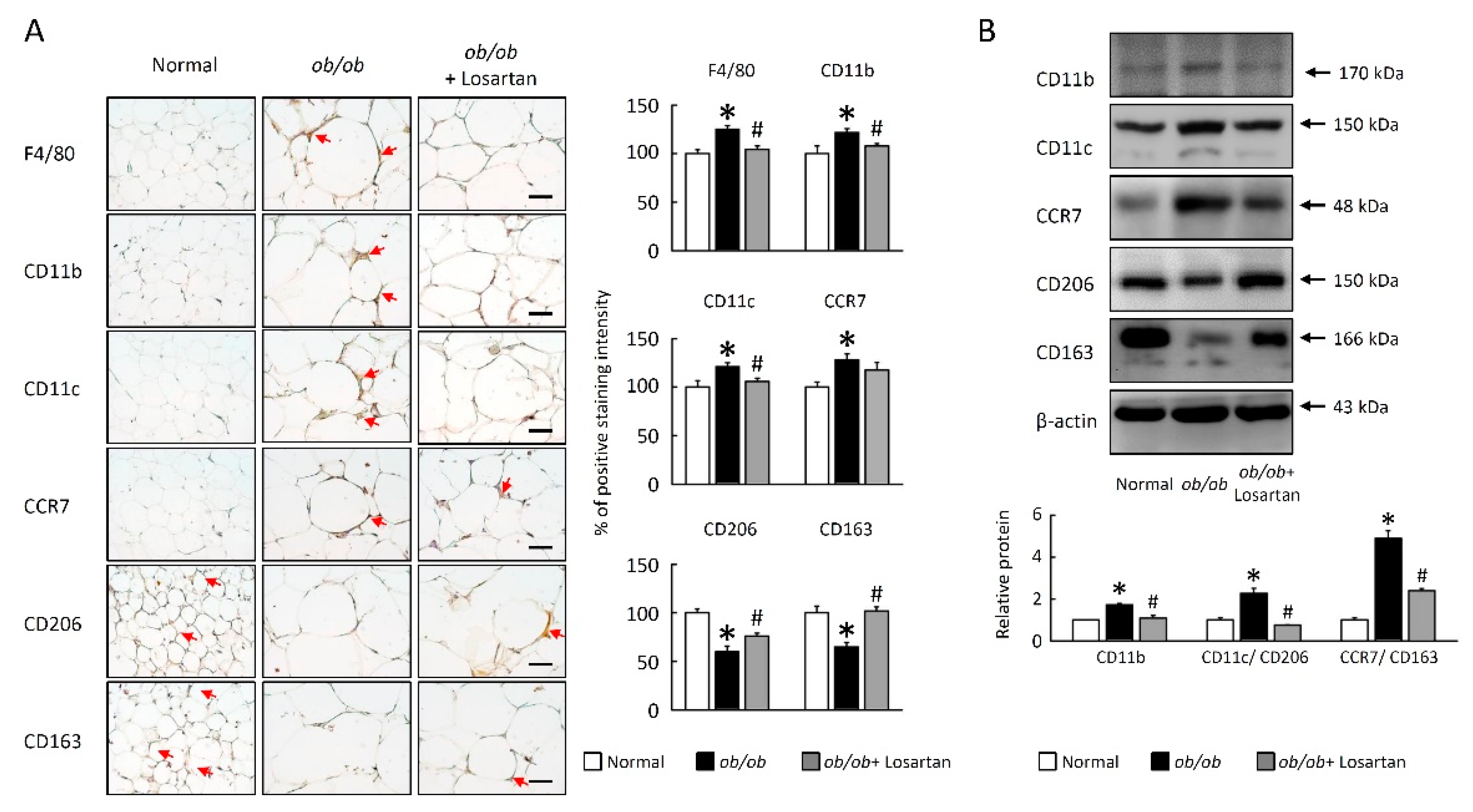 Cimb 43 00128 g005 Cimb 43 00128 g005