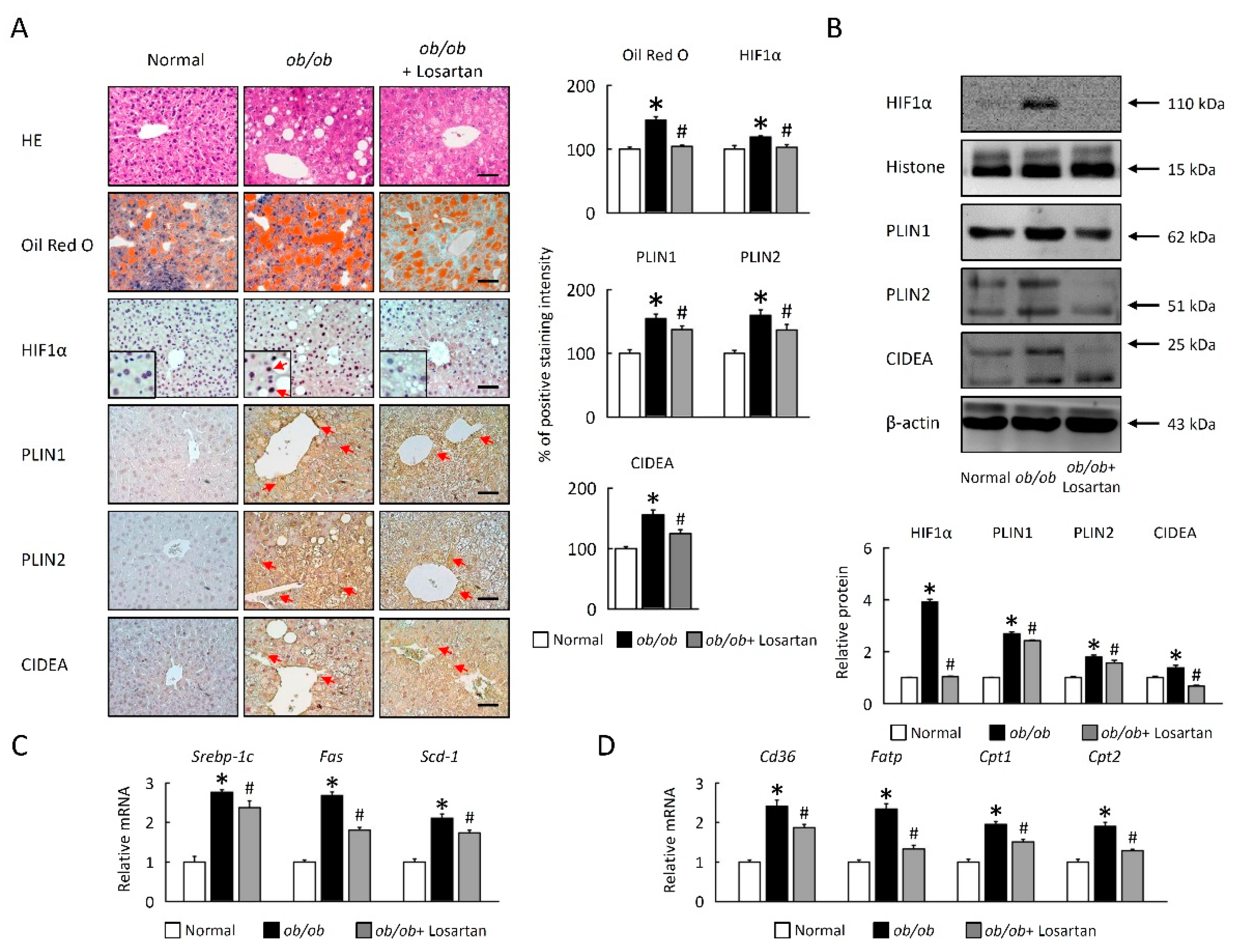 Cimb 43 00128 g007 Cimb 43 00128 g007
