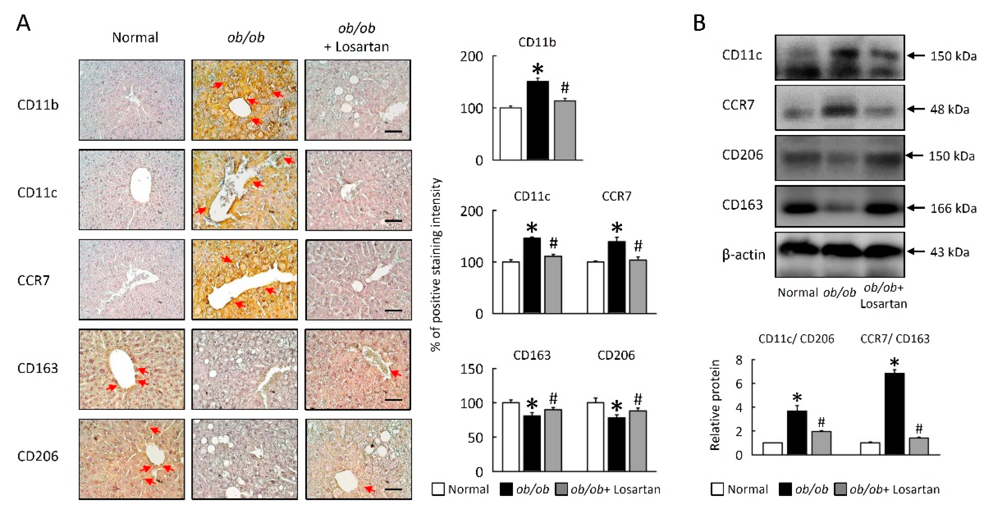 Cimb 43 00128 g008 Cimb 43 00128 g008