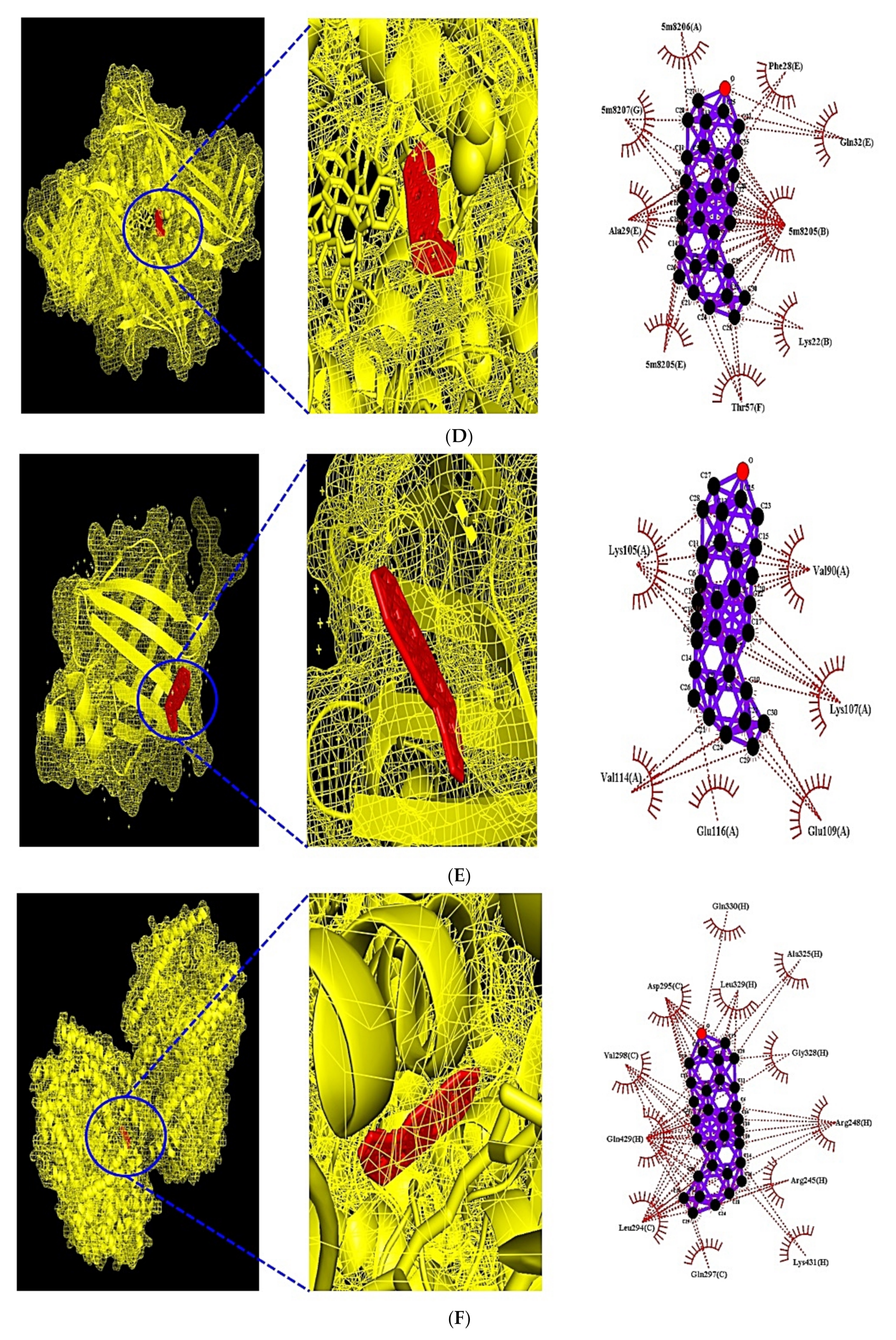 Cimb 43 00133 g007b Cimb 43 00133 g007b