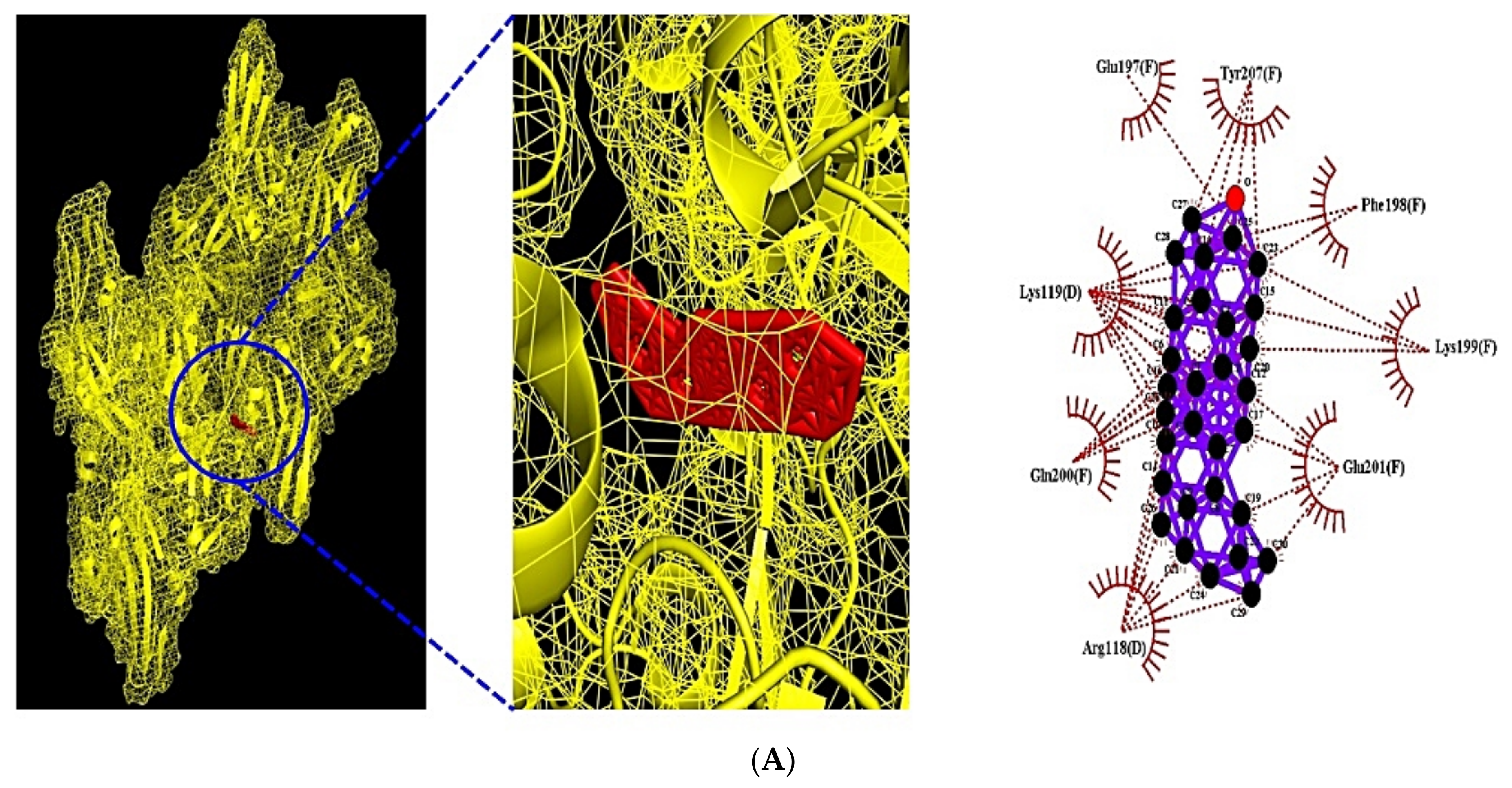 Cimb 43 00133 g008a Cimb 43 00133 g008a