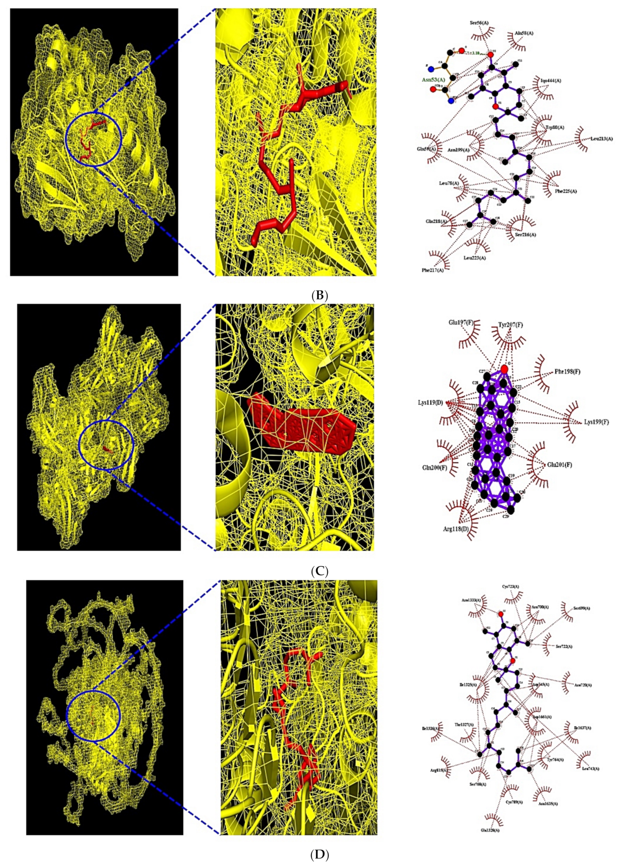 Cimb 43 00133 g008b Cimb 43 00133 g008b