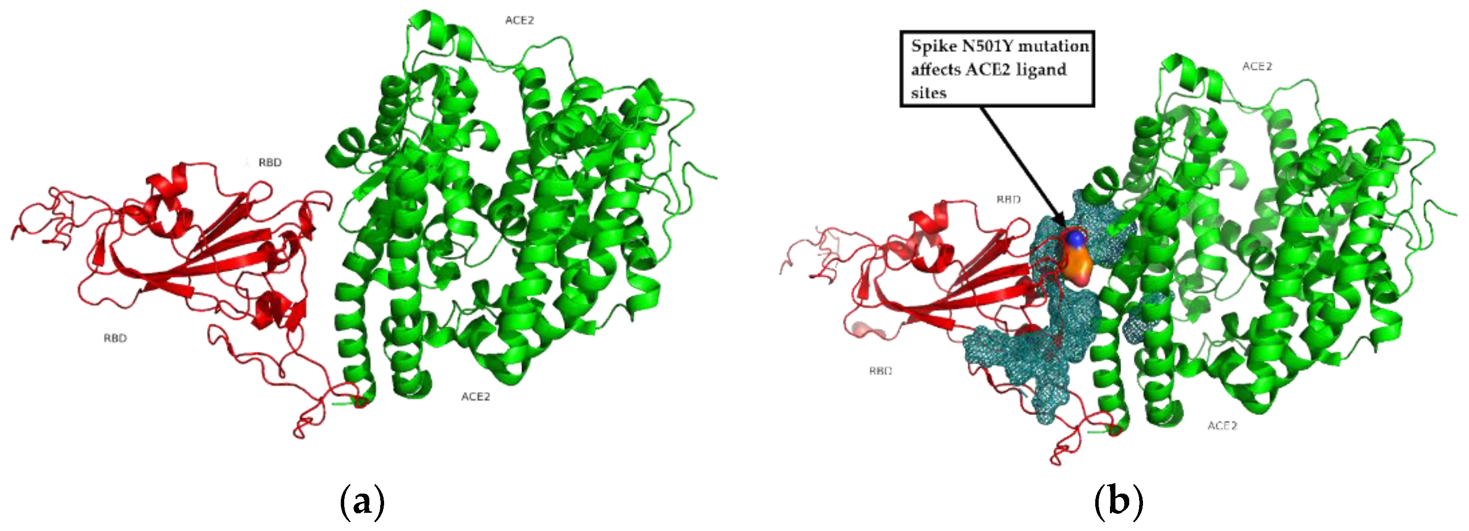 Cimb 43 00140 g006 550