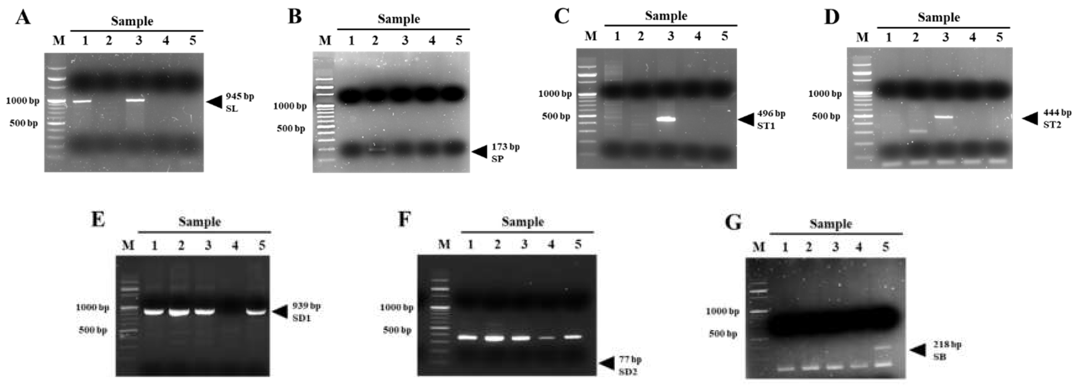 Cimb 43 00152 g006 Cimb 43 00152 g006