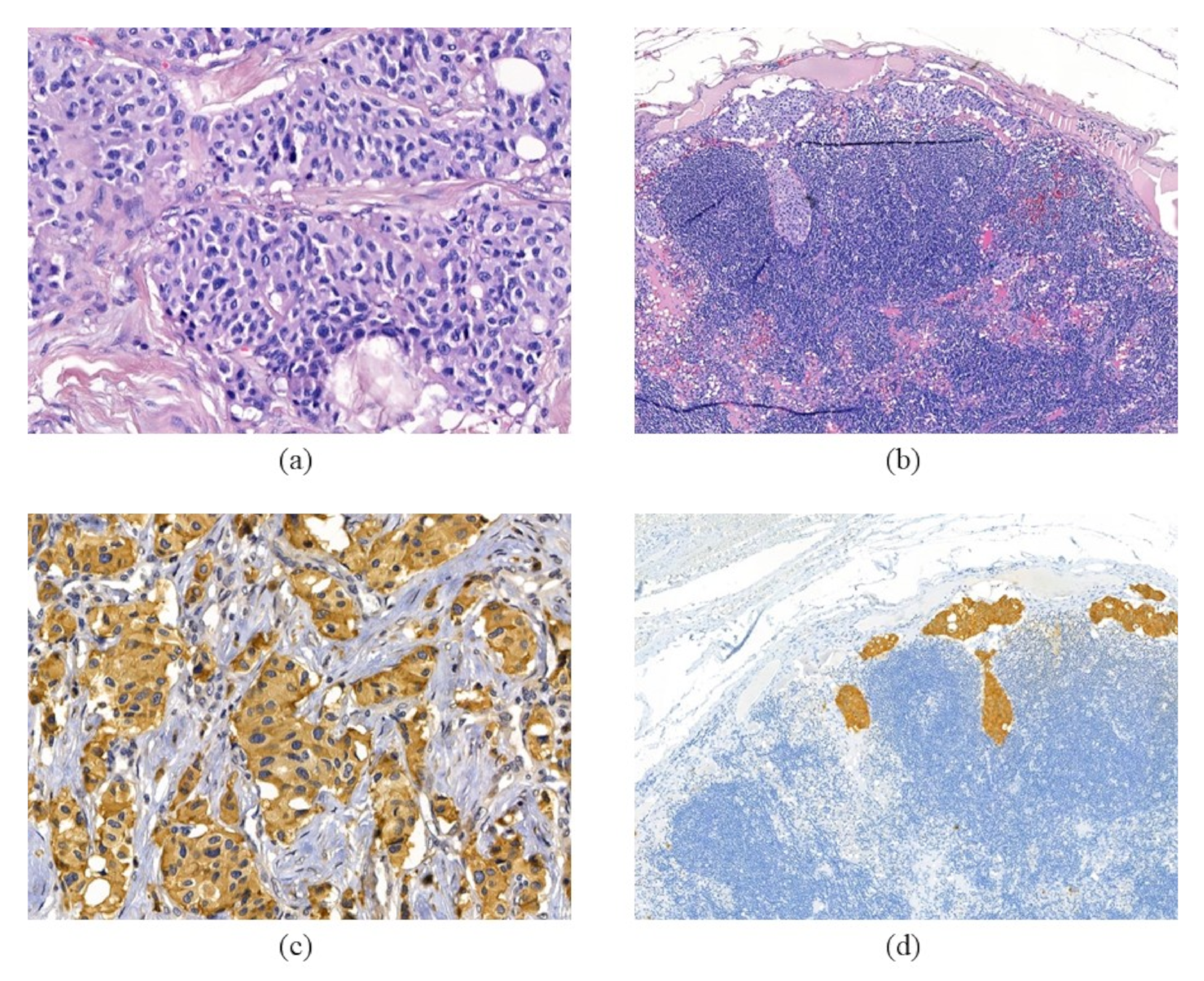 Cimb 43 00159 g001 550