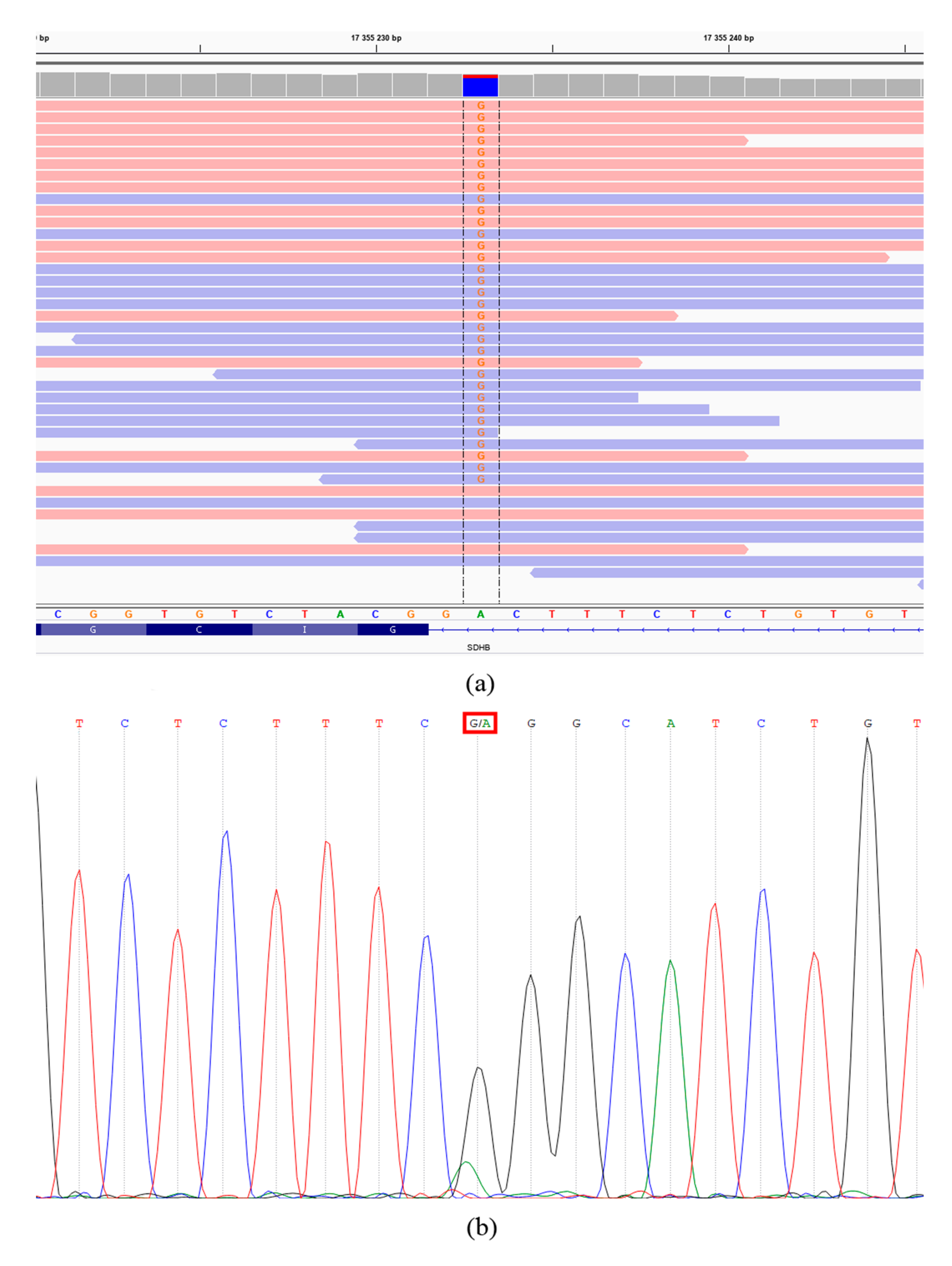 Cimb 43 00159 g003 550
