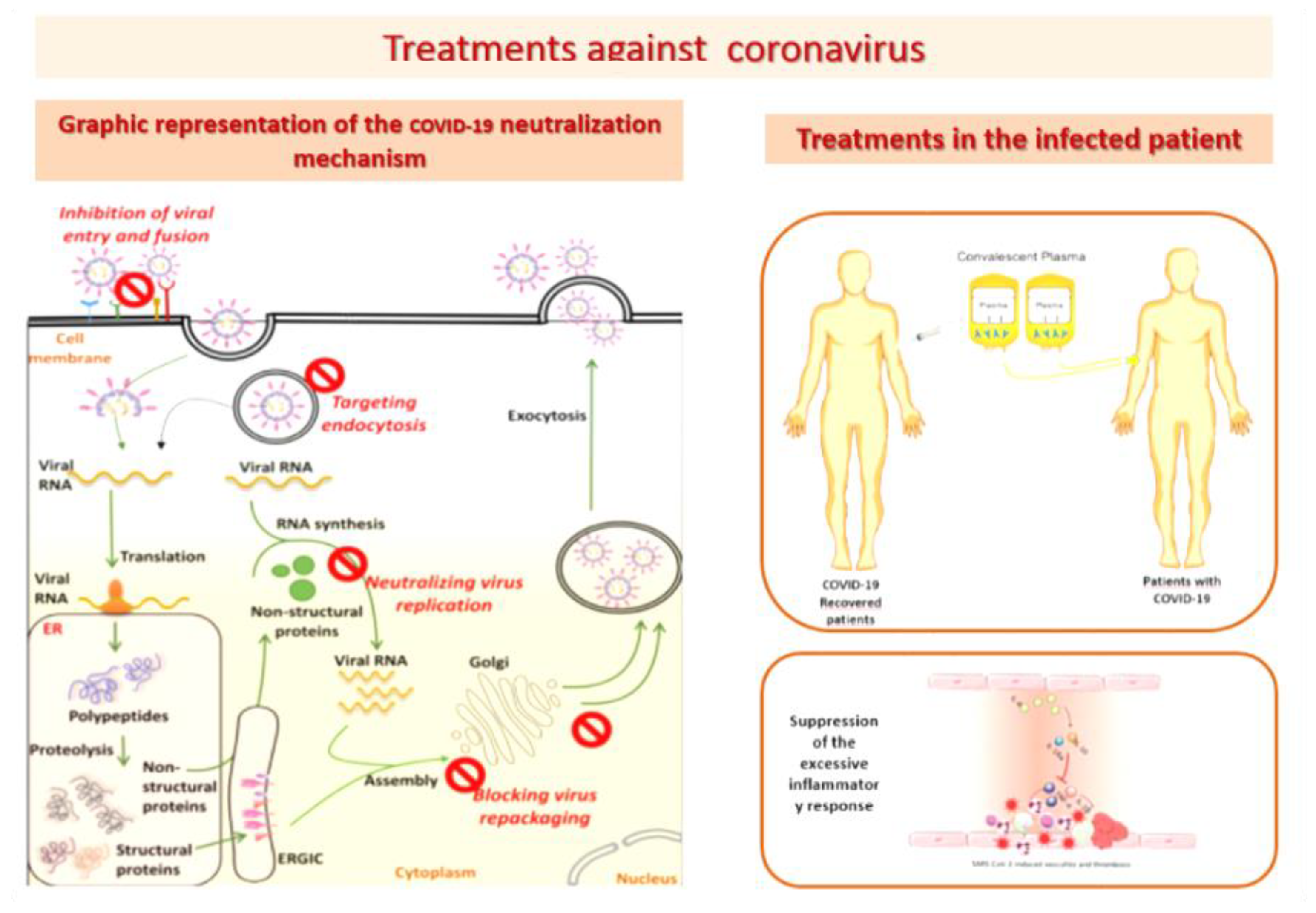 Cimb 44 00003 g001 550