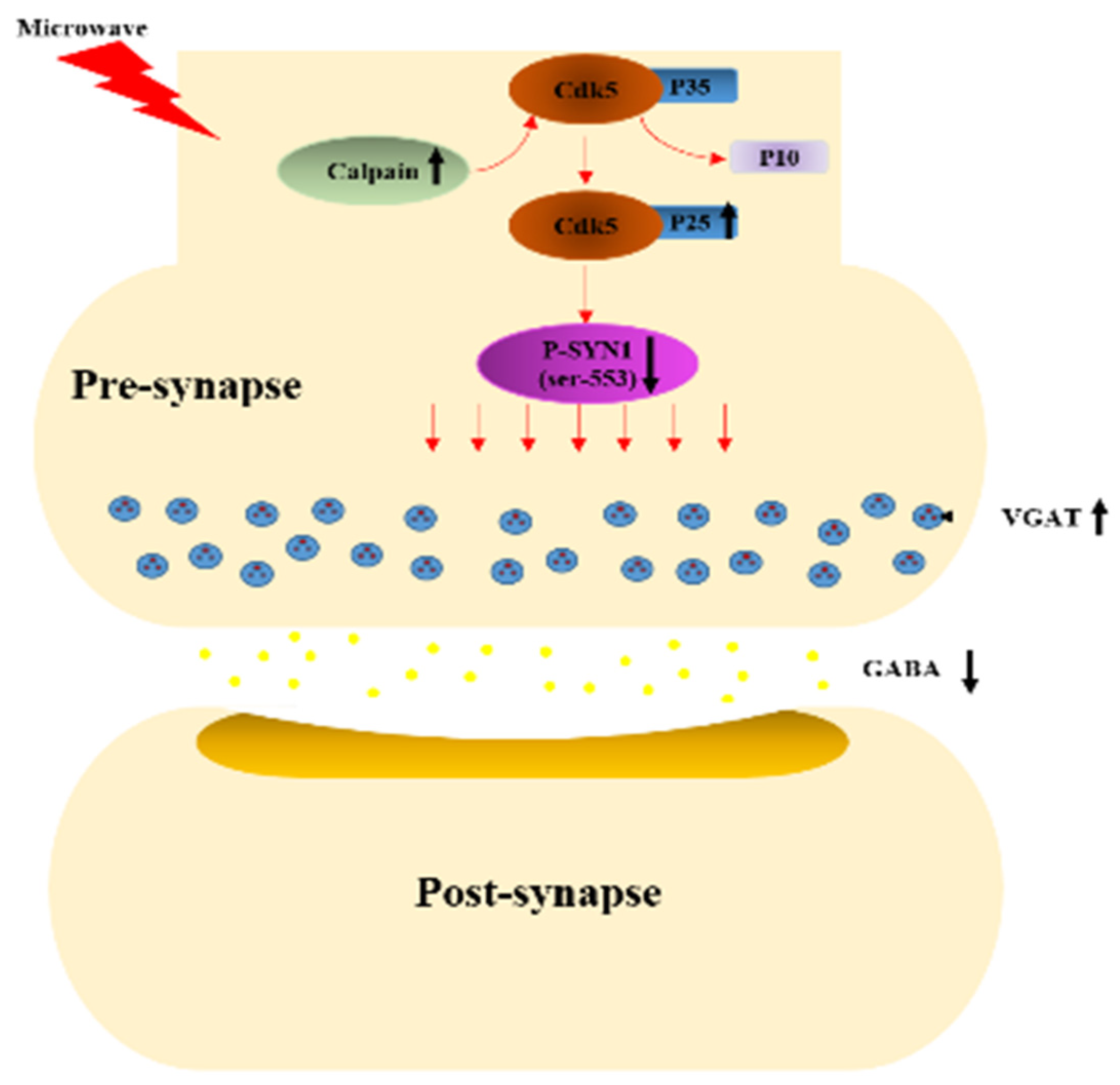 Cimb 44 00015 g009 Cimb 44 00015 g009