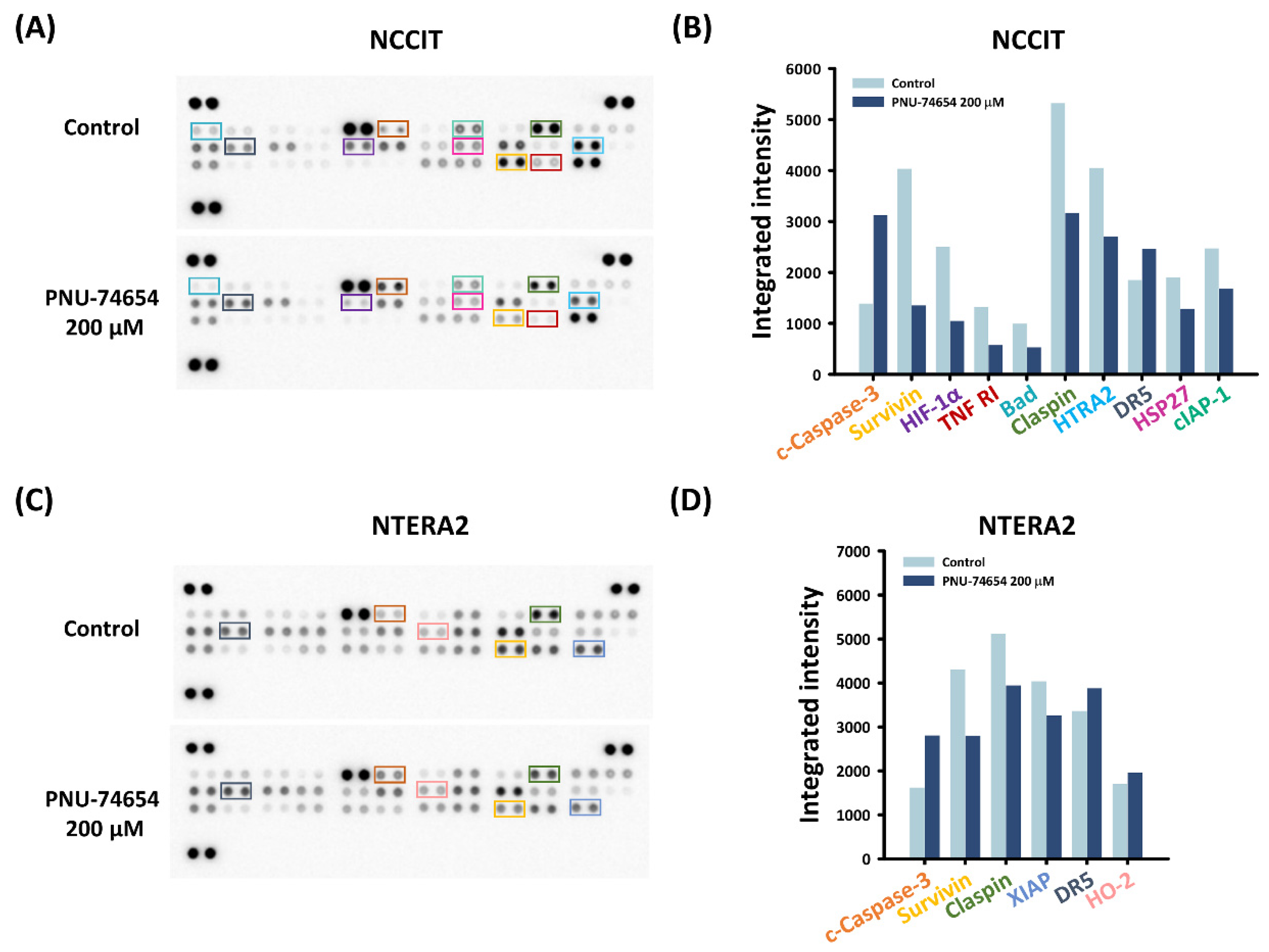 Cimb 44 00016 g003 Cimb 44 00016 g003