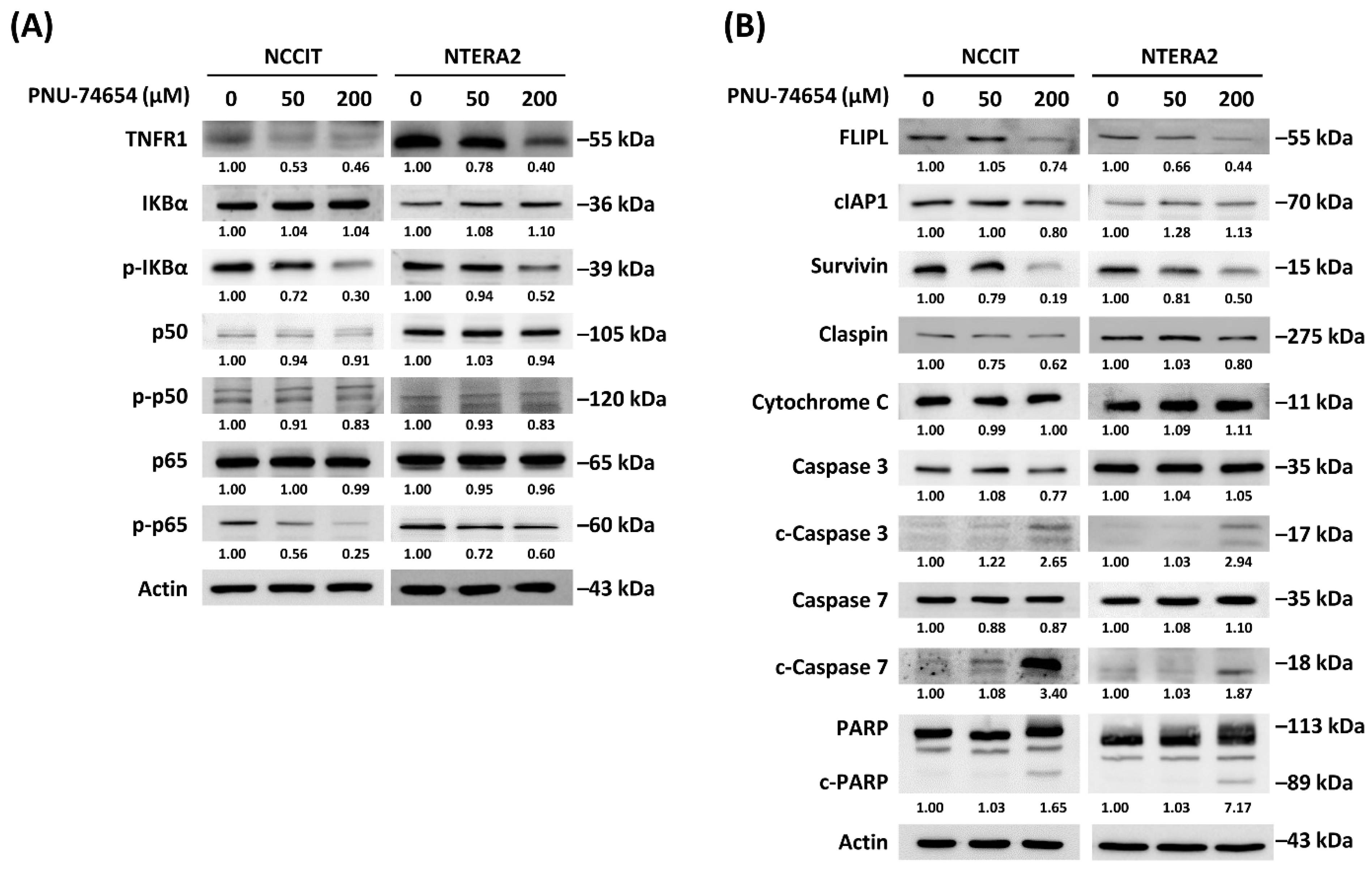 Cimb 44 00016 g004 Cimb 44 00016 g004