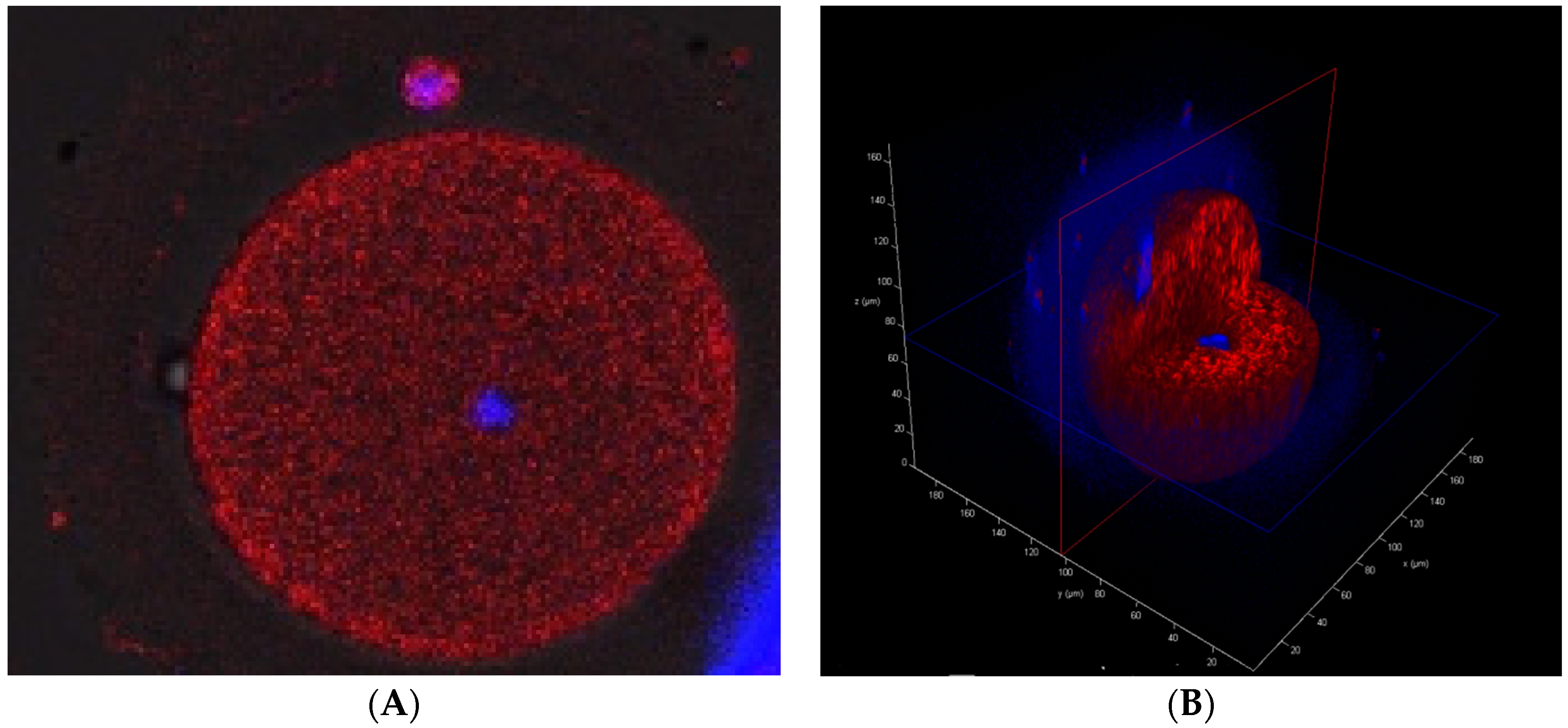 Cimb 44 00020 g004 550