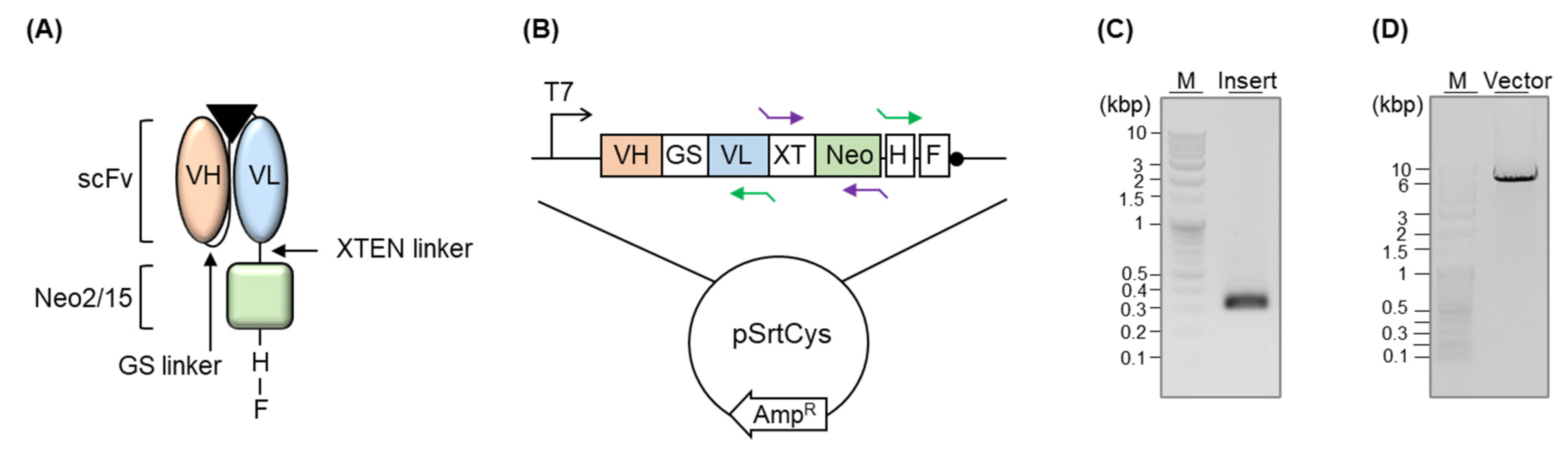 Cimb 44 00022 g002 550