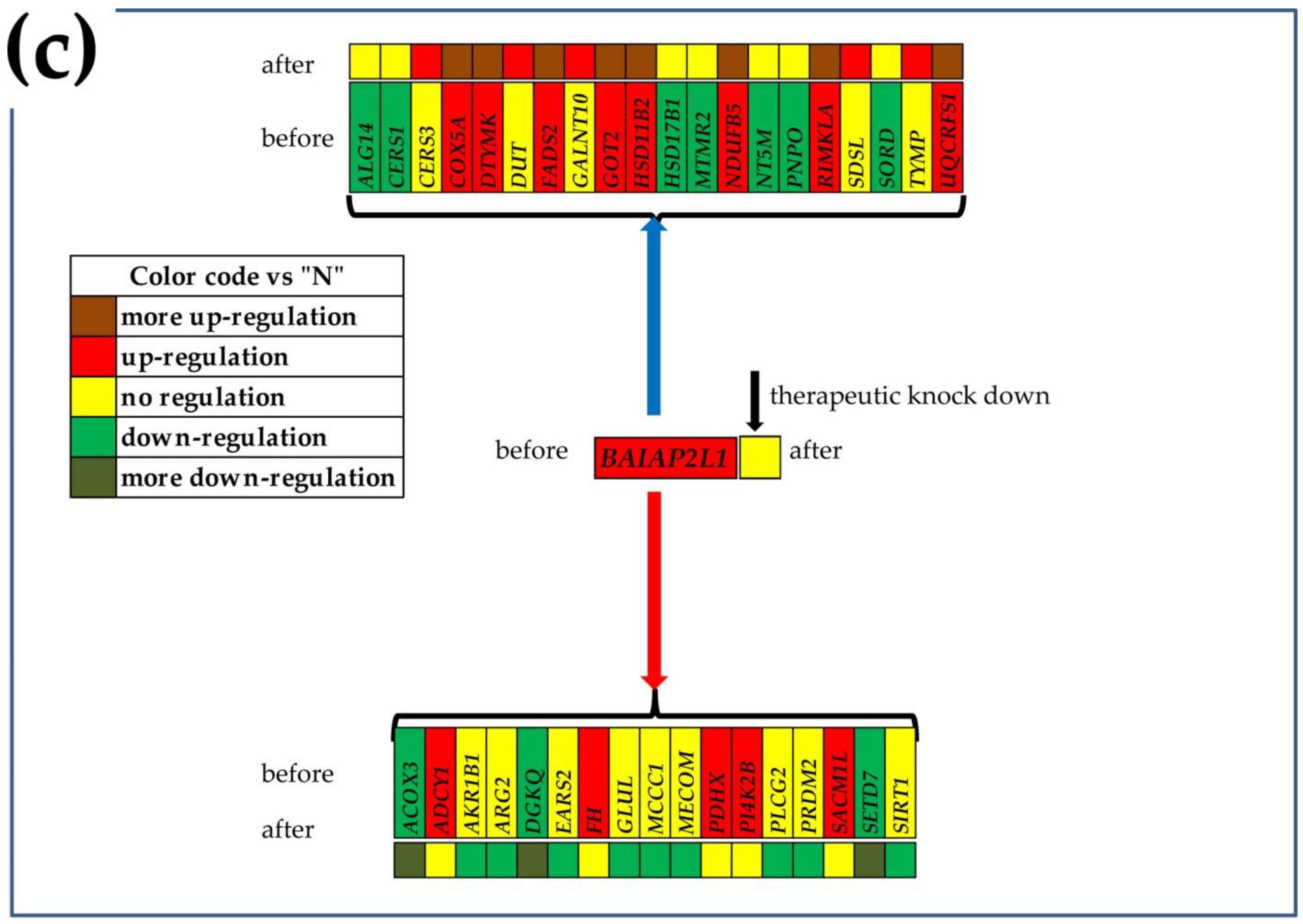 Cimb 44 00027 g006b Cimb 44 00027 g006b