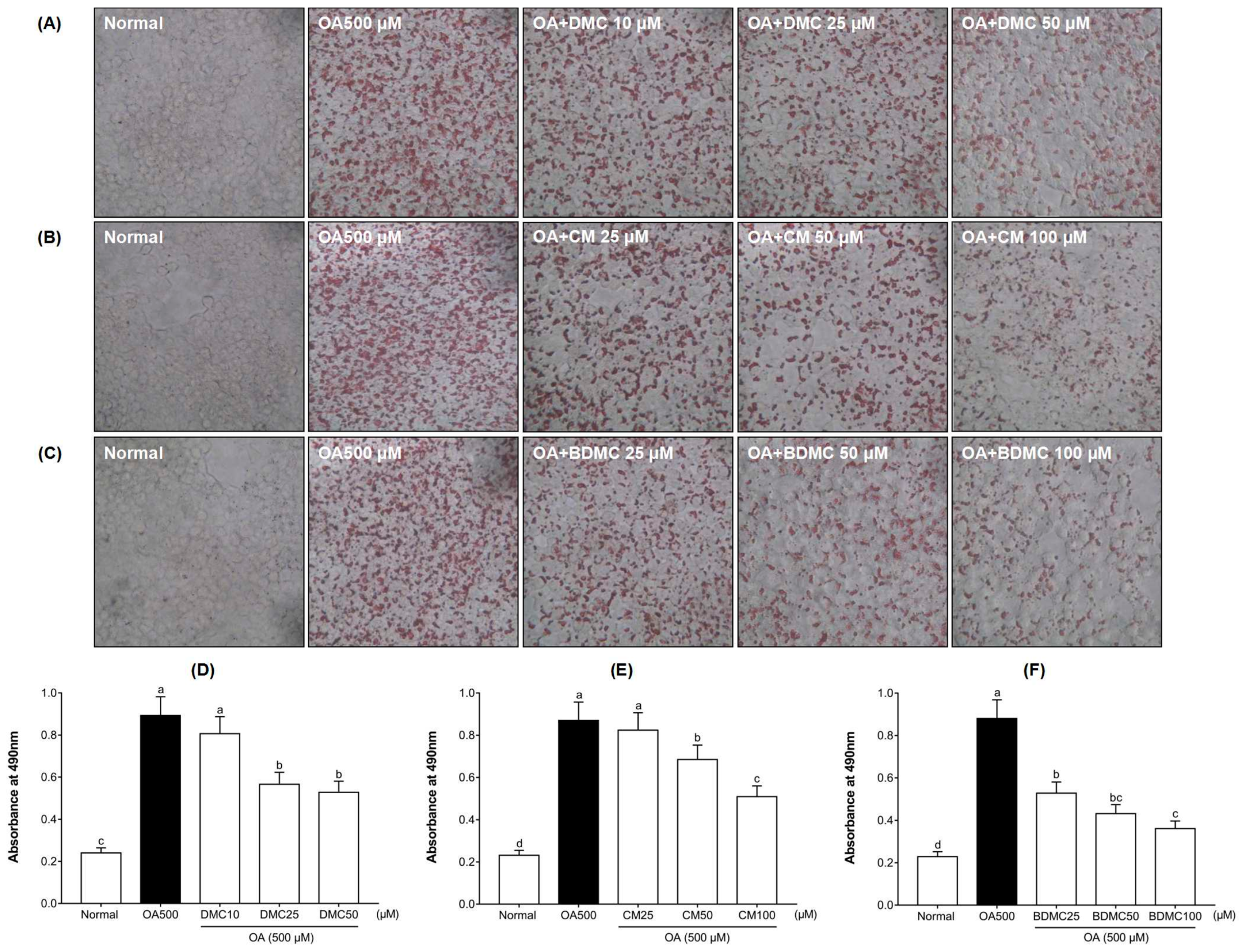 Cimb 44 00029 g004 550