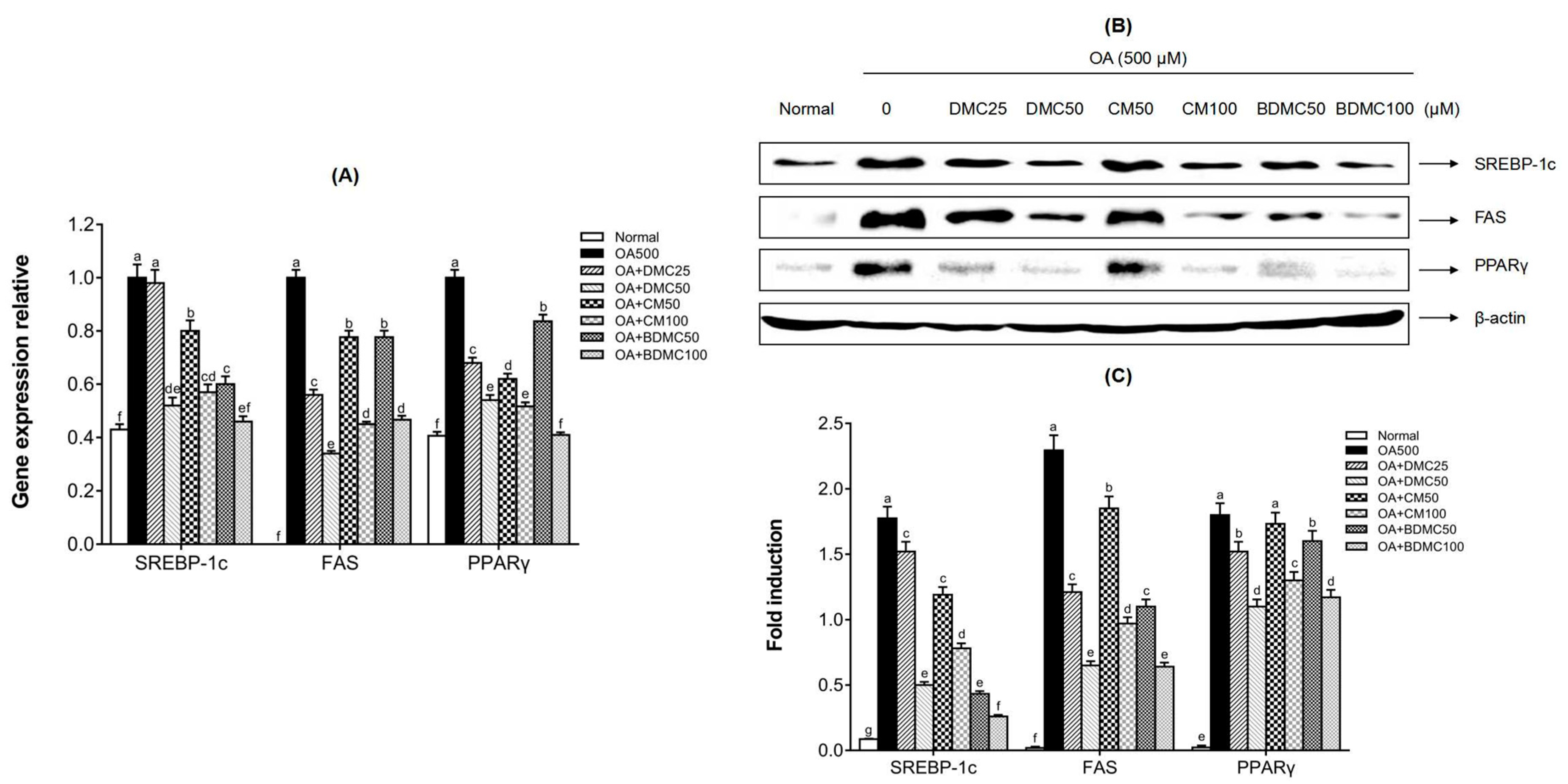 Cimb 44 00029 g006 550