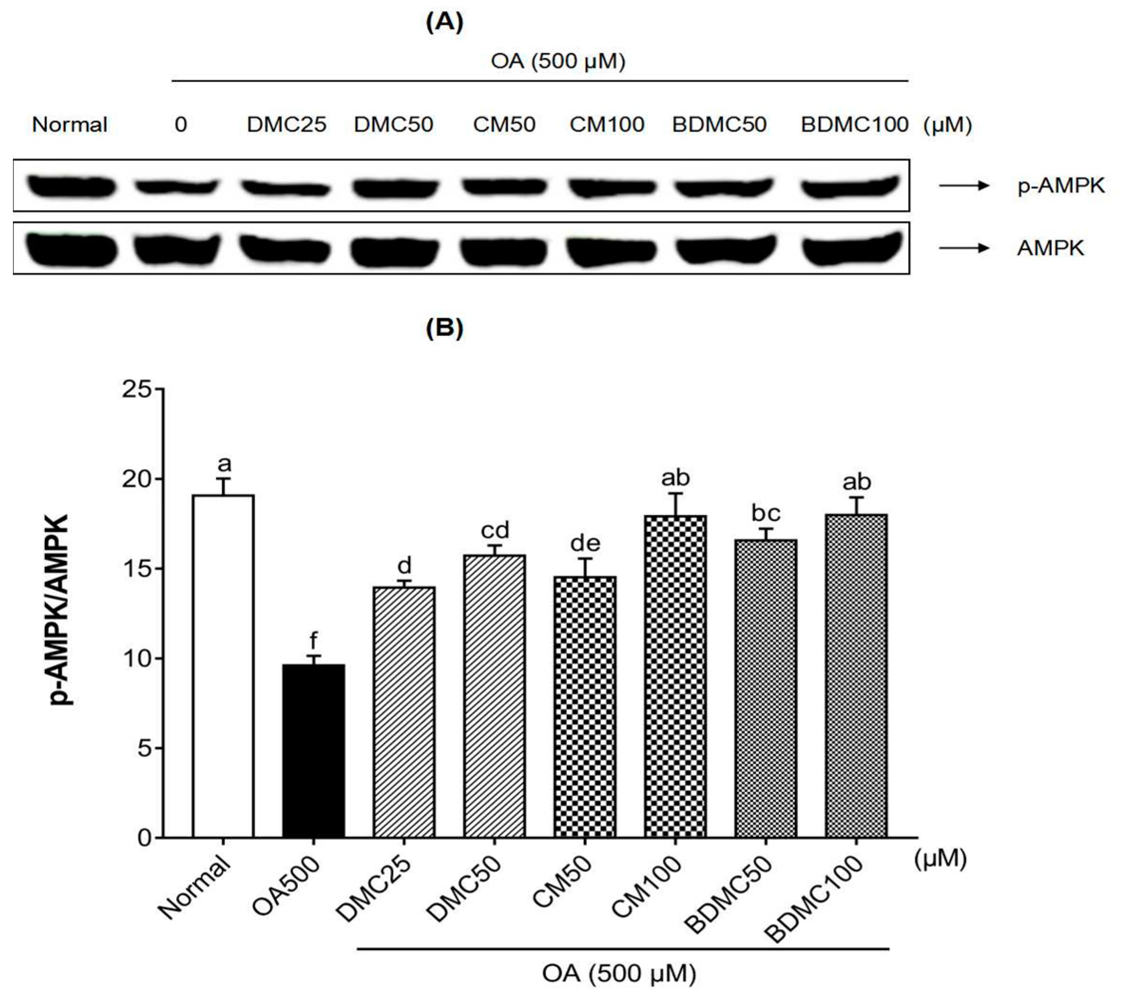 Cimb 44 00029 g007 550