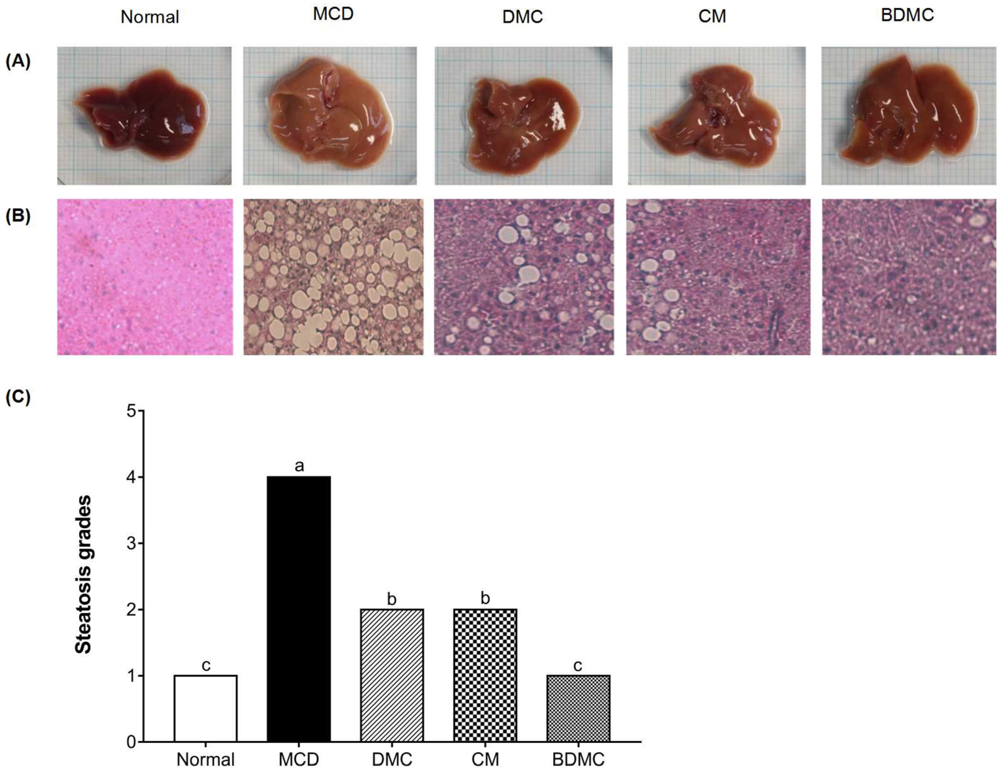Cimb 44 00029 g010 550