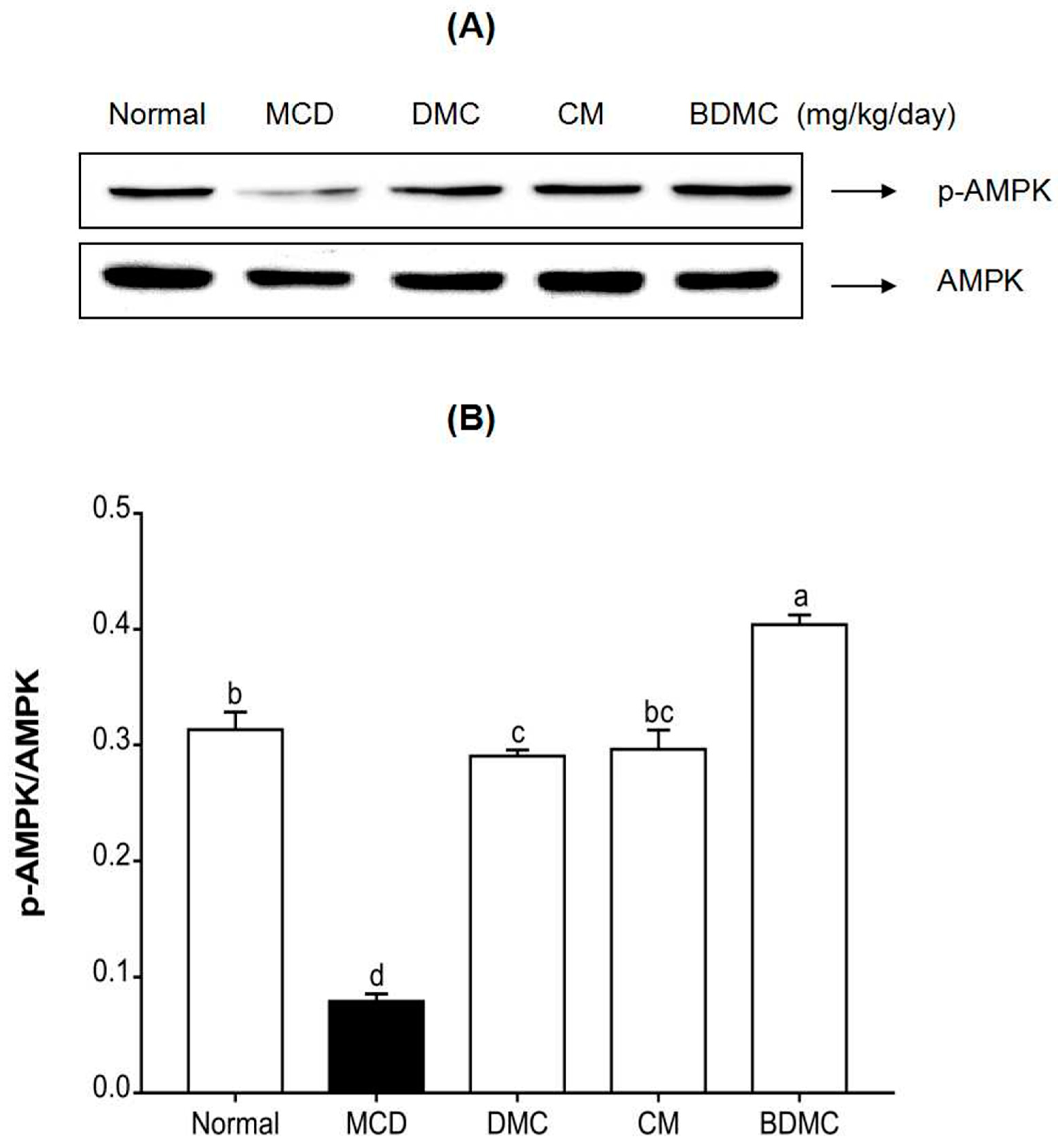 Cimb 44 00029 g012 550