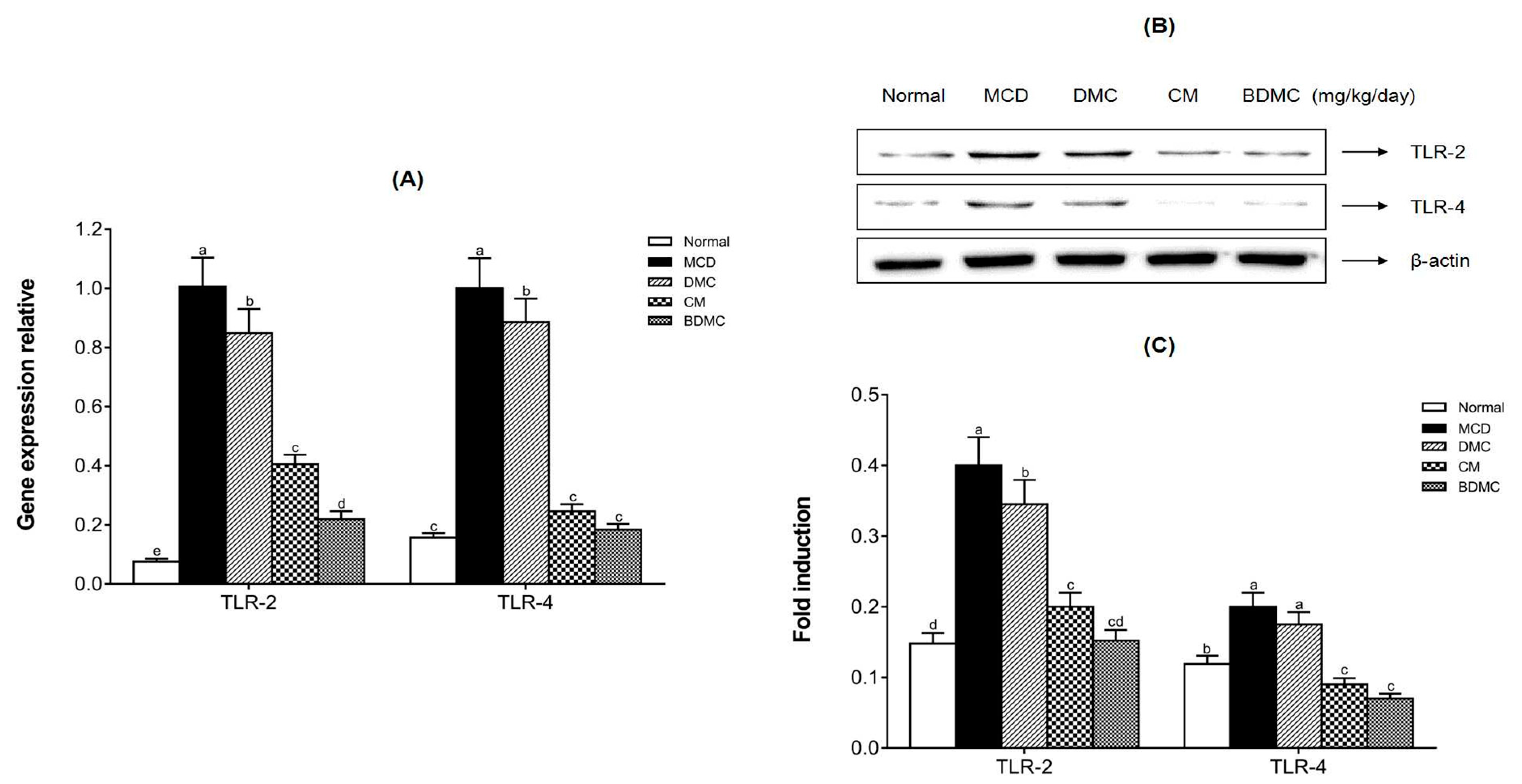 Cimb 44 00029 g014 550