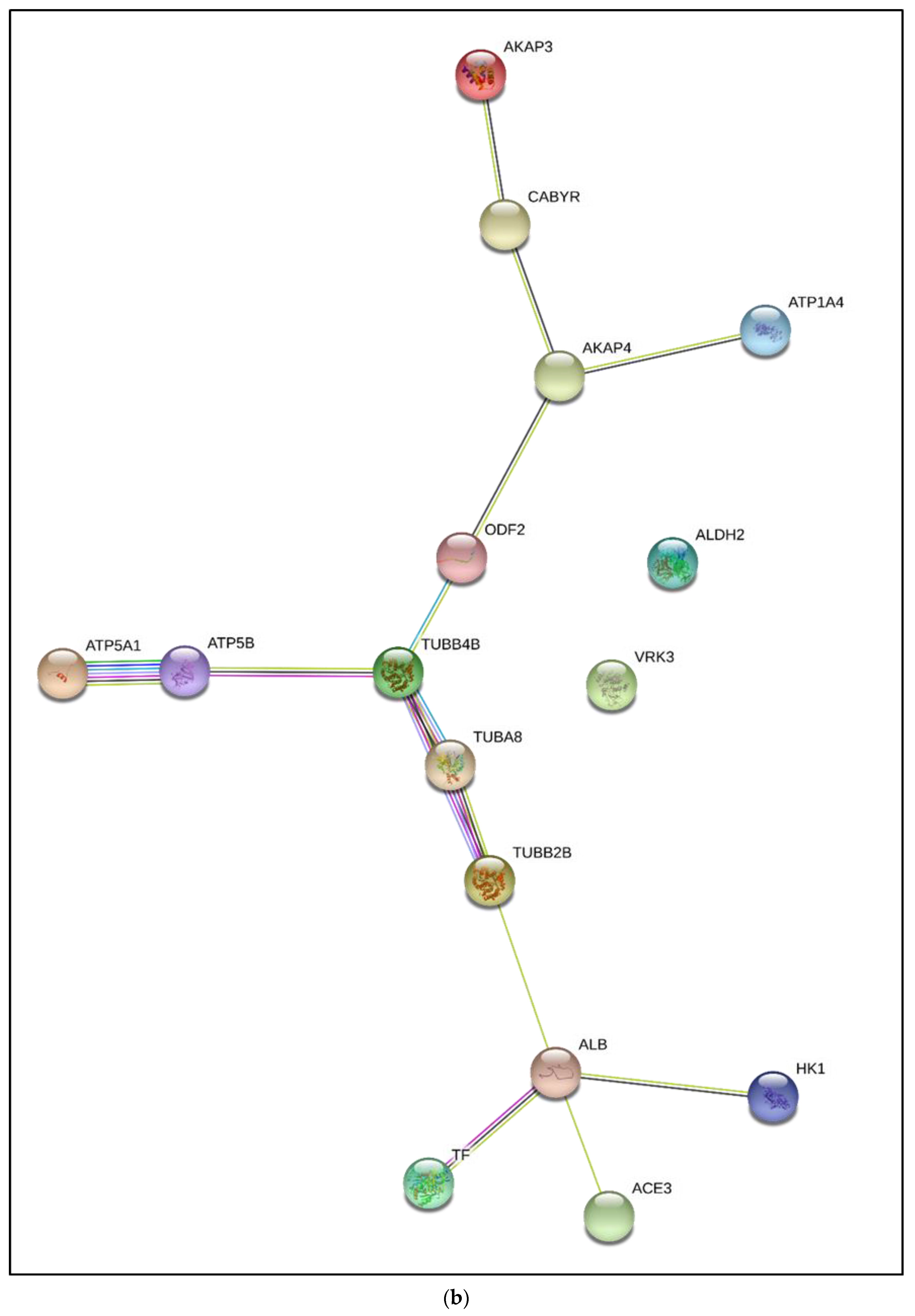 Cimb 44 00031 g002b Cimb 44 00031 g002b