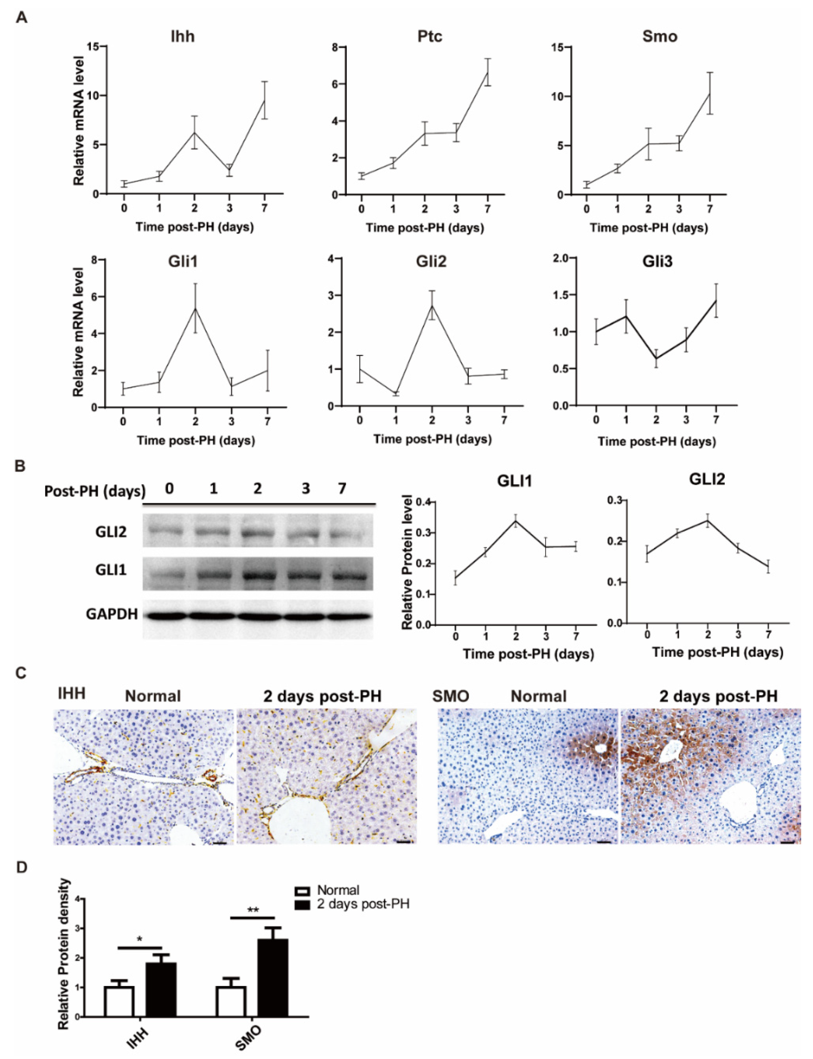 Cimb 44 00032 g001 550
